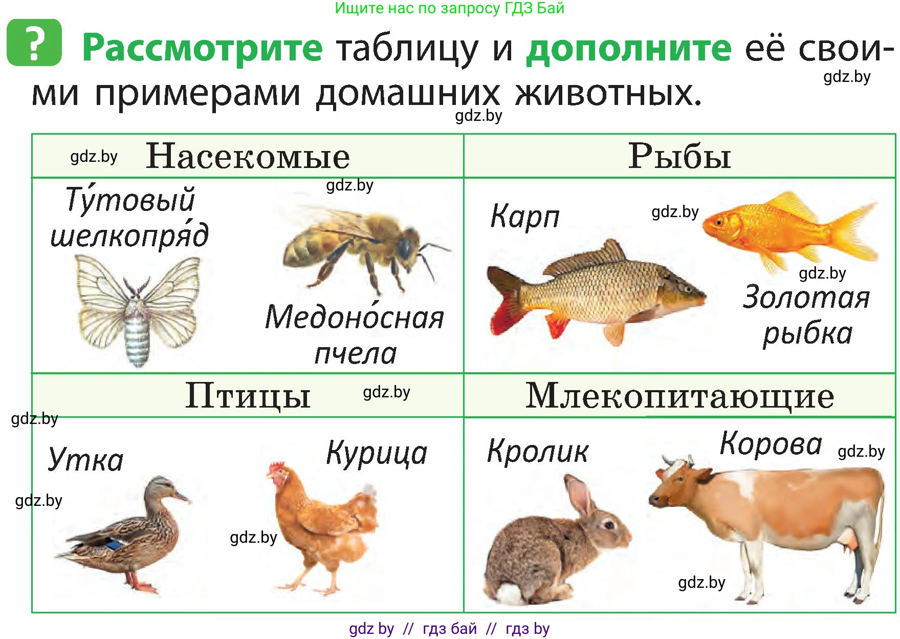 Человек и мир, 2 класс Учебник, авторы: Трафимова Галина Владимировна, Трафимов Сергей Анатольевич, издательство Академия образования, Минск, 2024, страница 103, номер 2, Условие