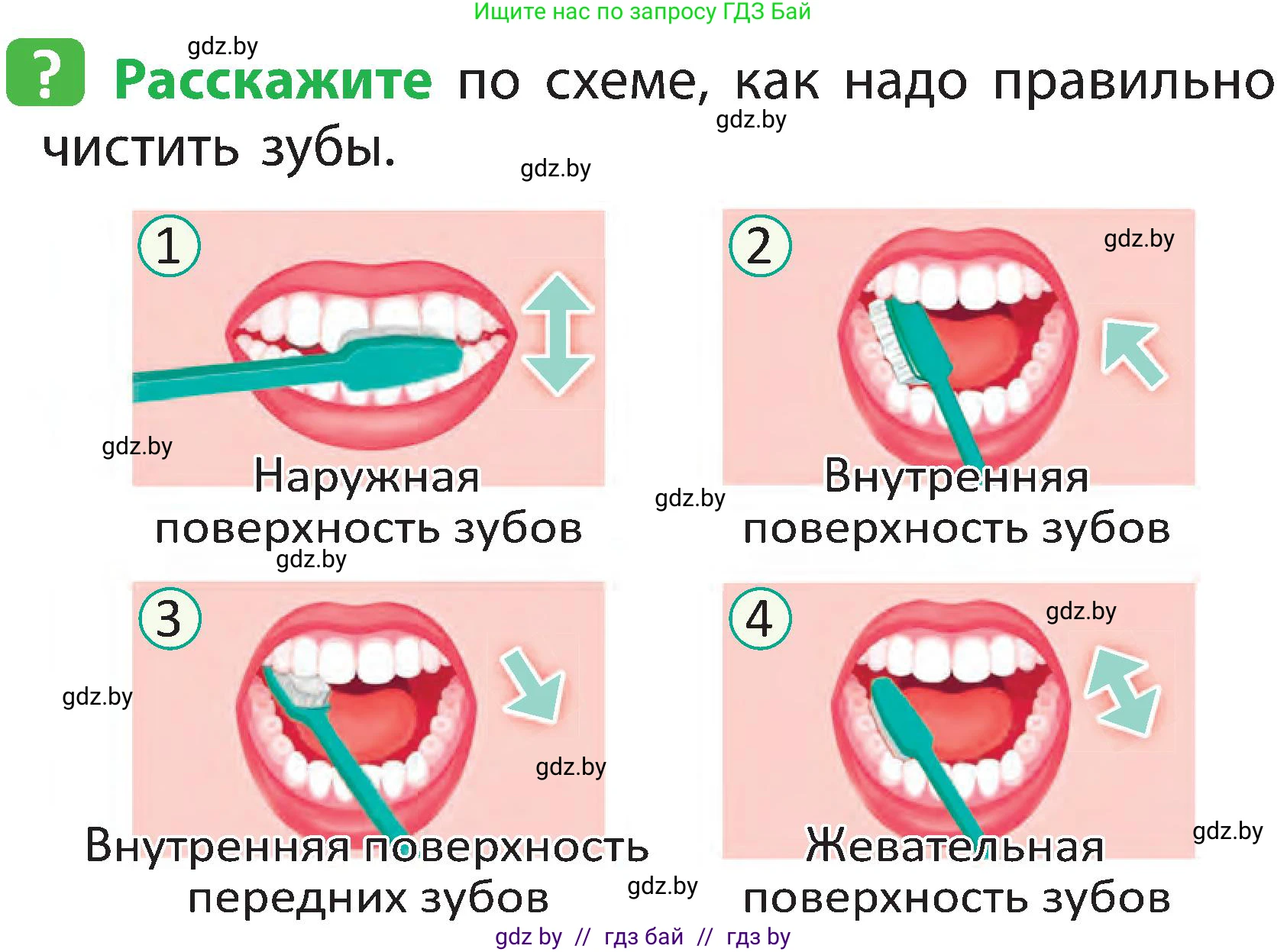Человек и мир, 2 класс Учебник, авторы: Трафимова Галина Владимировна, Трафимов Сергей Анатольевич, издательство Академия образования, Минск, 2024, страница 119, номер 2, Условие
