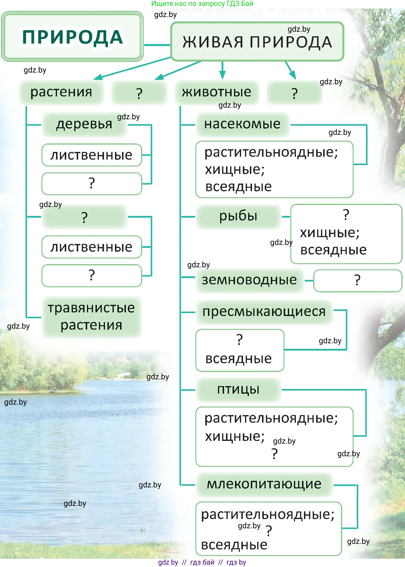 Человек и мир, 2 класс Учебник, авторы: Трафимова Галина Владимировна, Трафимов Сергей Анатольевич, издательство Академия образования, Минск, 2024, страница 140, номер 1, Условие (продолжение 2)