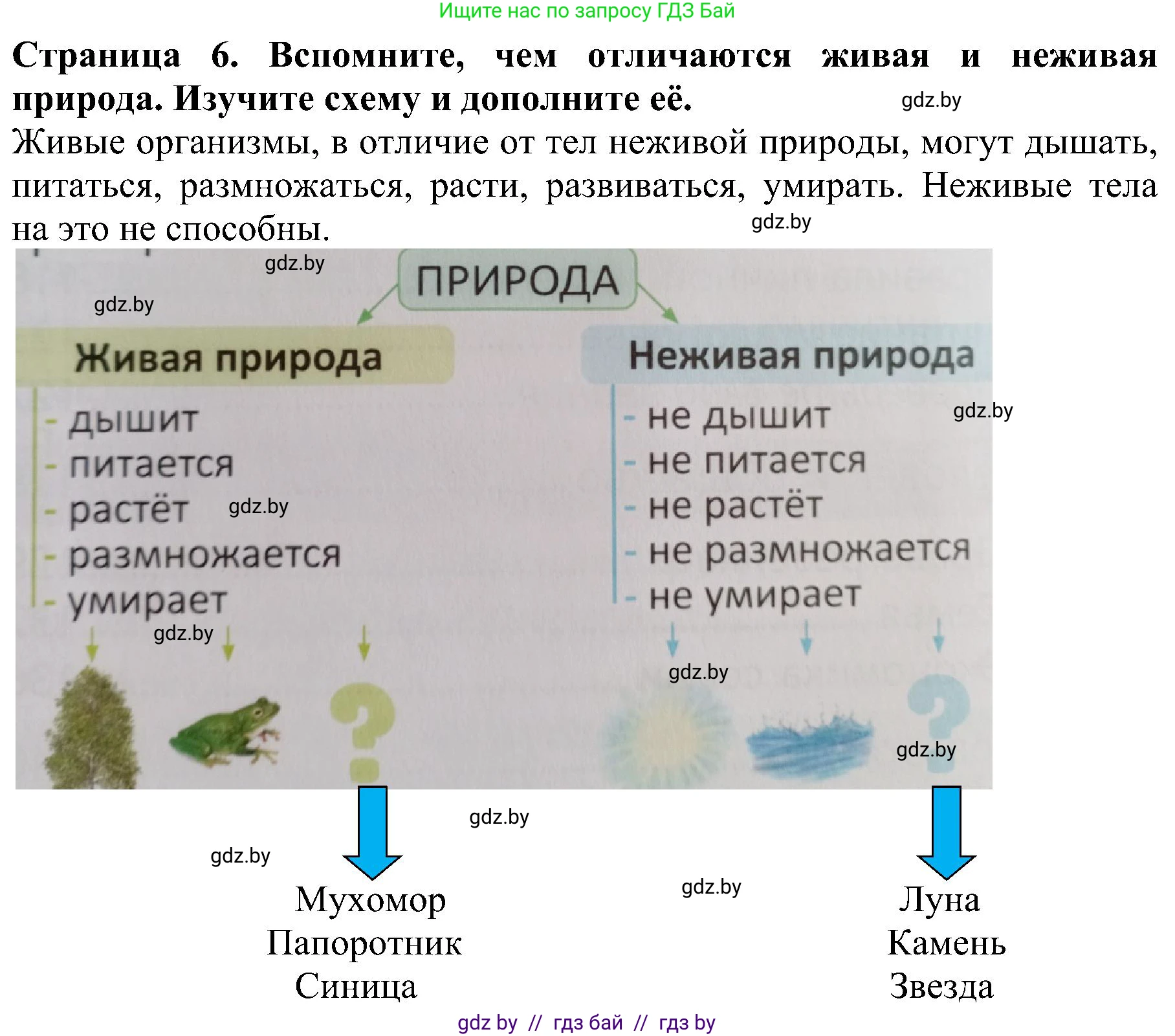 Человек и мир, 2 класс Учебник, авторы: Трафимова Галина Владимировна, Трафимов Сергей Анатольевич, издательство Академия образования, Минск, 2024, страница 6, номер 2, Решение