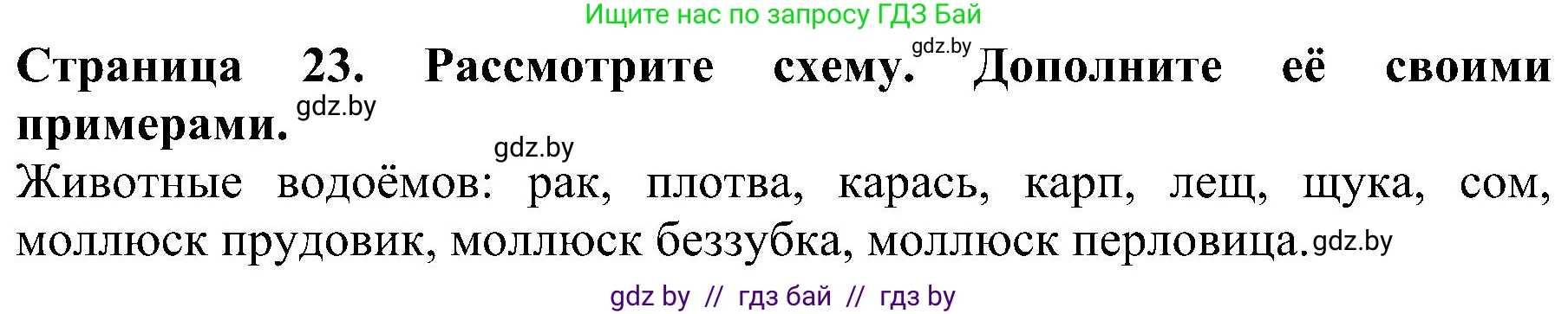 Человек и мир, 2 класс Учебник, авторы: Трафимова Галина Владимировна, Трафимов Сергей Анатольевич, издательство Академия образования, Минск, 2024, страница 23, номер 2, Решение