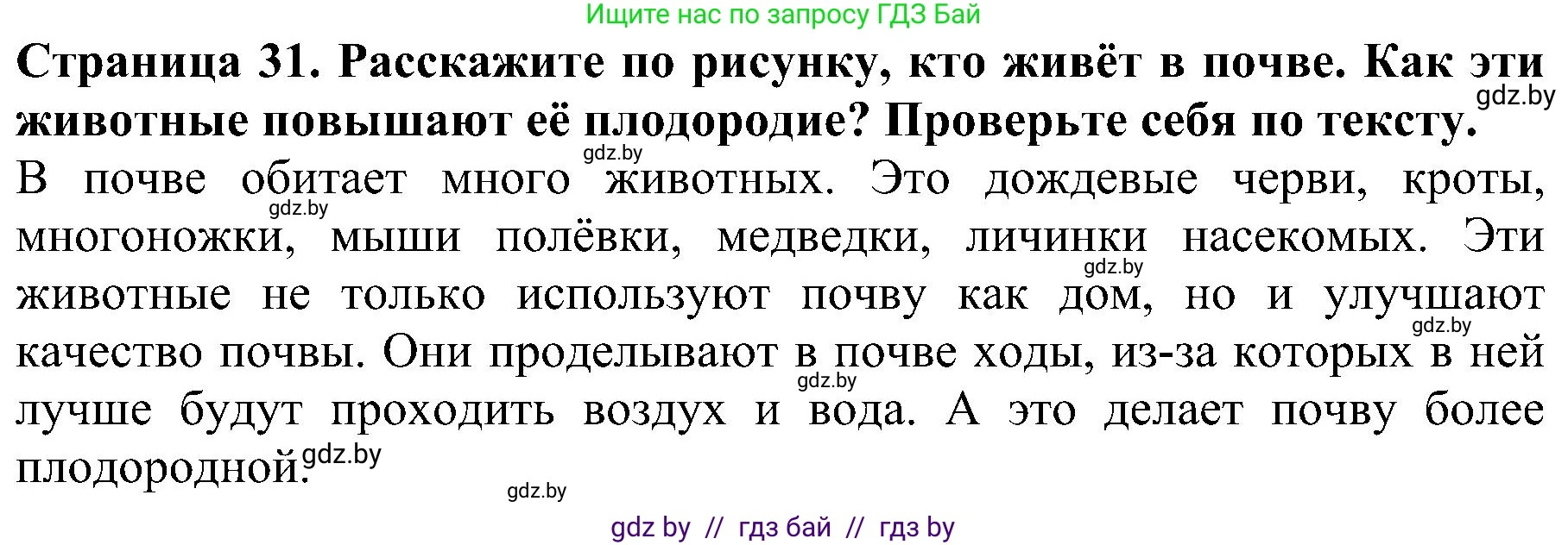 Человек и мир, 2 класс Учебник, авторы: Трафимова Галина Владимировна, Трафимов Сергей Анатольевич, издательство Академия образования, Минск, 2024, страница 31, номер 2, Решение