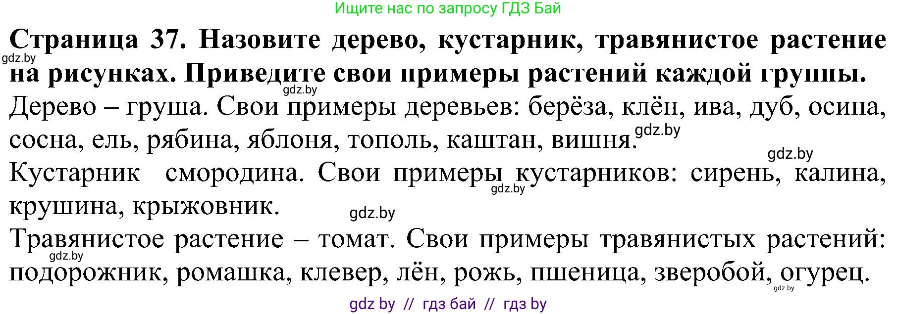 Человек и мир, 2 класс Учебник, авторы: Трафимова Галина Владимировна, Трафимов Сергей Анатольевич, издательство Академия образования, Минск, 2024, страница 37, номер 2, Решение