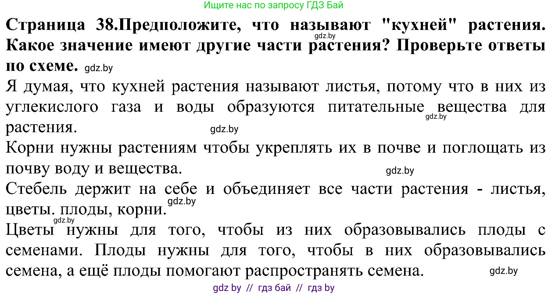 Человек и мир, 2 класс Учебник, авторы: Трафимова Галина Владимировна, Трафимов Сергей Анатольевич, издательство Академия образования, Минск, 2024, страница 38, номер 4, Решение