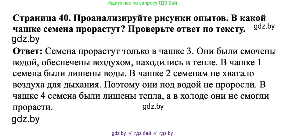 Человек и мир, 2 класс Учебник, авторы: Трафимова Галина Владимировна, Трафимов Сергей Анатольевич, издательство Академия образования, Минск, 2024, страница 40, номер 2, Решение