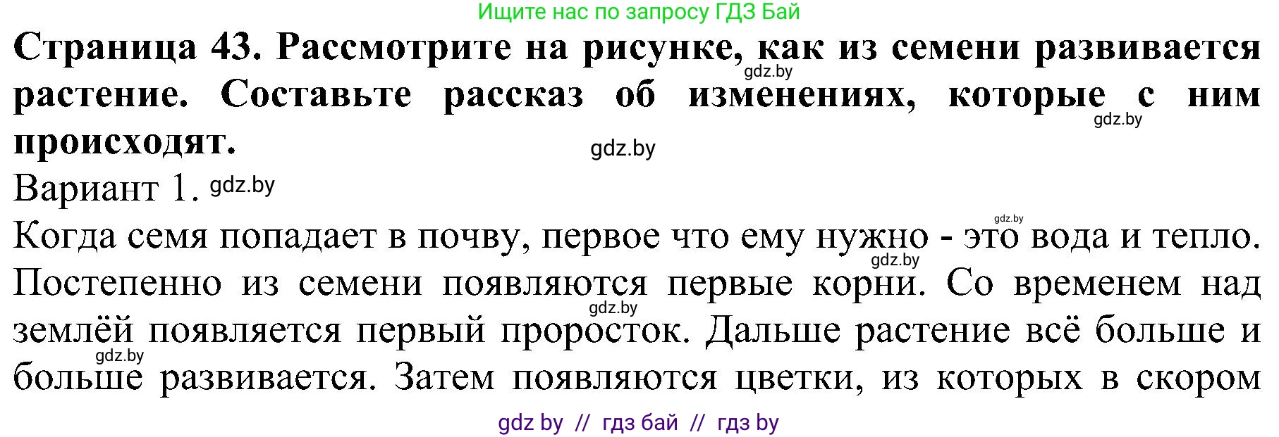 Человек и мир, 2 класс Учебник, авторы: Трафимова Галина Владимировна, Трафимов Сергей Анатольевич, издательство Академия образования, Минск, 2024, страница 43, номер 5, Решение