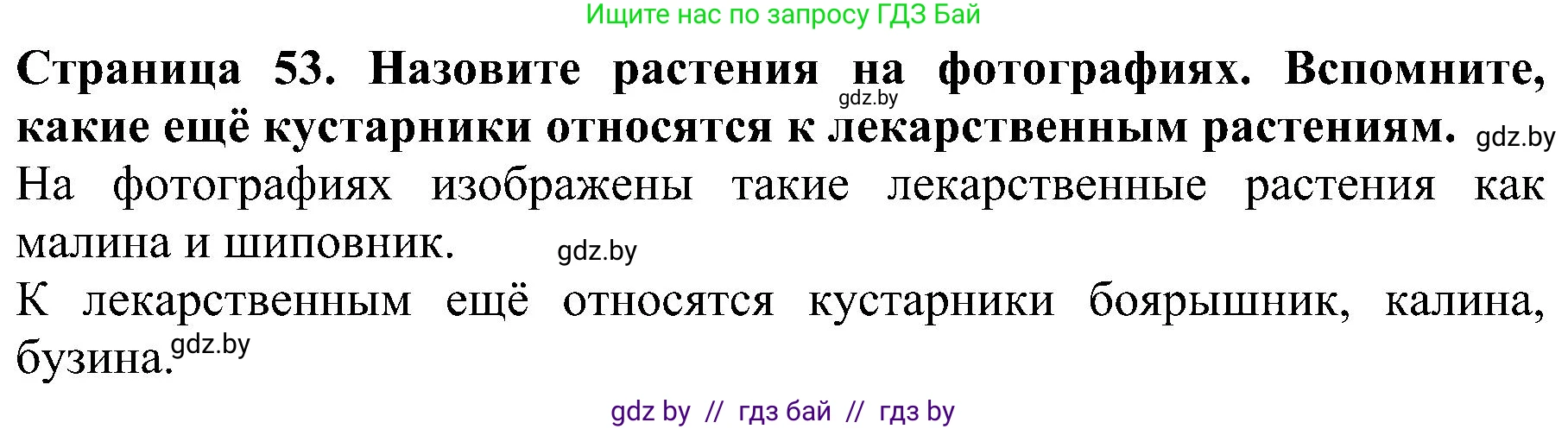 Человек и мир, 2 класс Учебник, авторы: Трафимова Галина Владимировна, Трафимов Сергей Анатольевич, издательство Академия образования, Минск, 2024, страница 53, номер 2, Решение