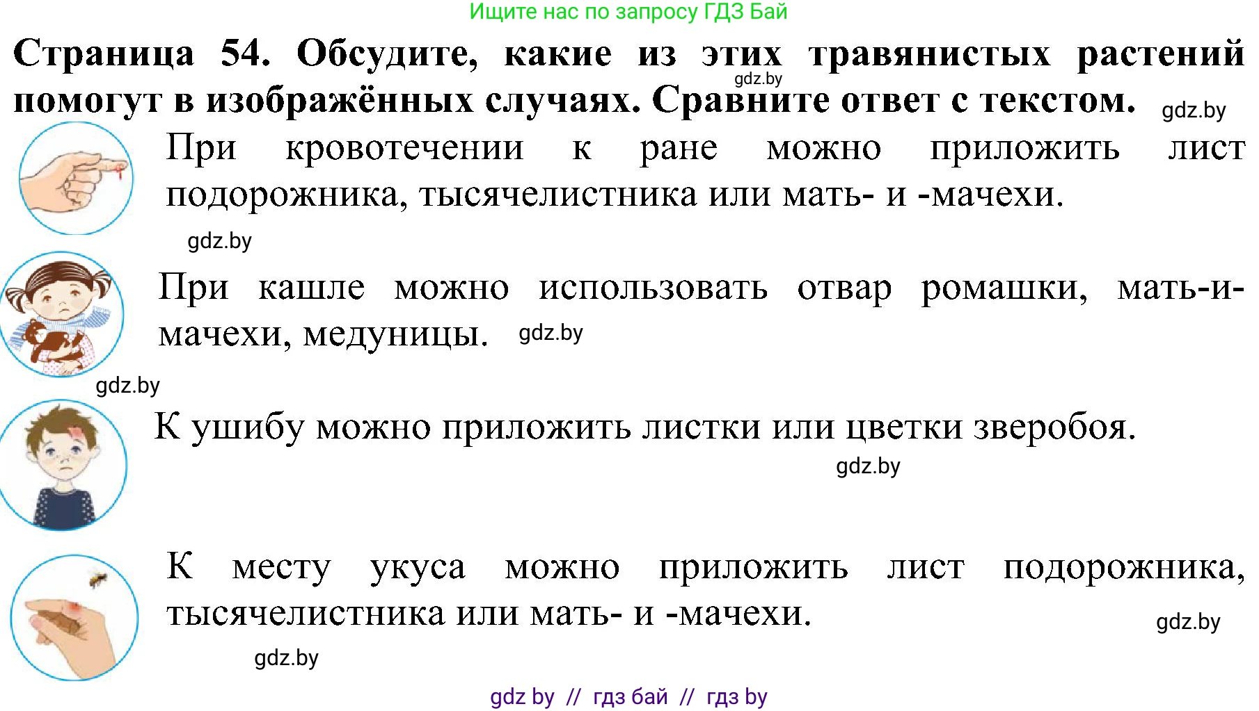 Человек и мир, 2 класс Учебник, авторы: Трафимова Галина Владимировна, Трафимов Сергей Анатольевич, издательство Академия образования, Минск, 2024, страница 54, номер 3, Решение