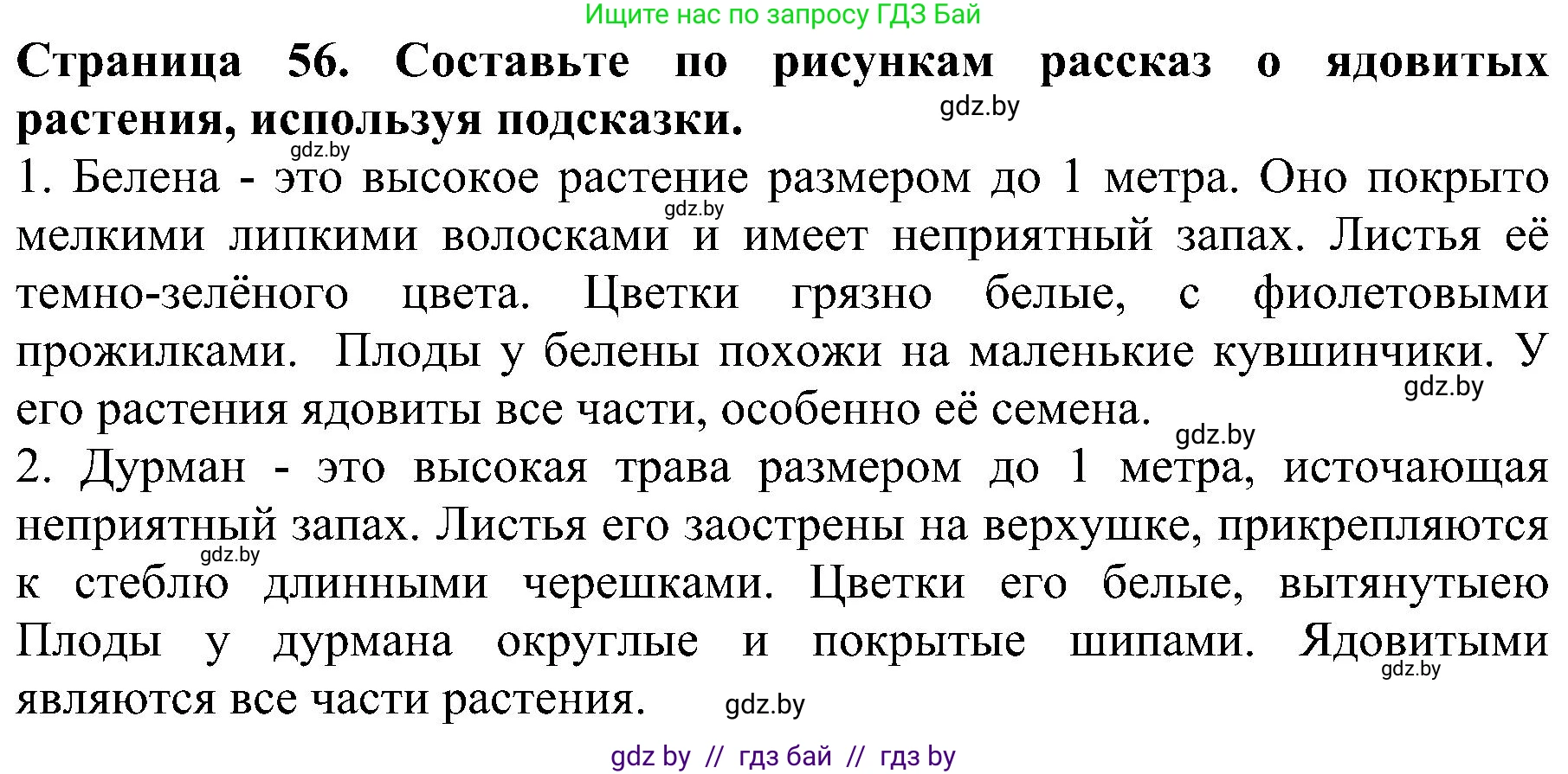 Человек и мир, 2 класс Учебник, авторы: Трафимова Галина Владимировна, Трафимов Сергей Анатольевич, издательство Академия образования, Минск, 2024, страница 56, номер 2, Решение