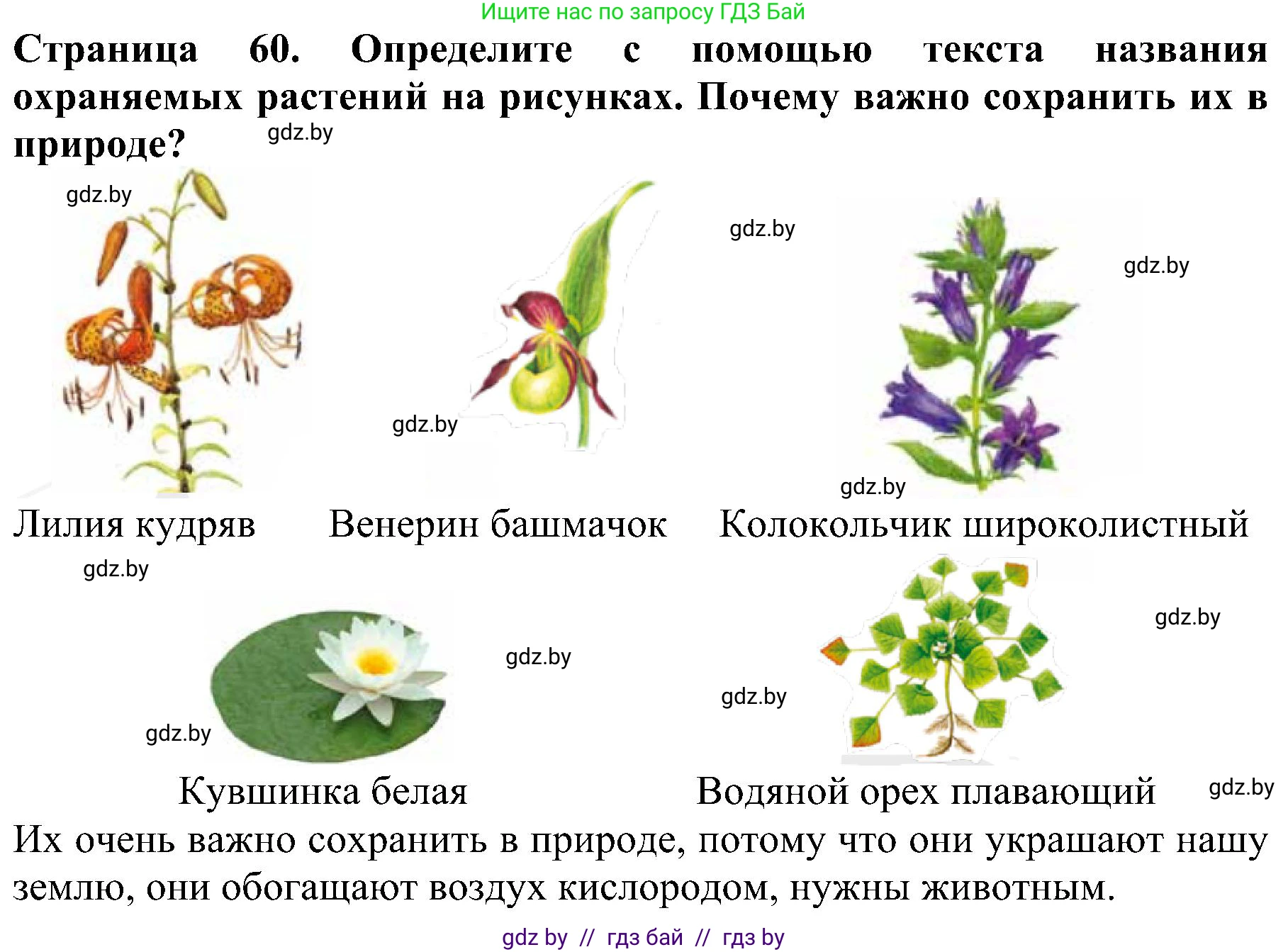 Человек и мир, 2 класс Учебник, авторы: Трафимова Галина Владимировна, Трафимов Сергей Анатольевич, издательство Академия образования, Минск, 2024, страница 60, номер 2, Решение