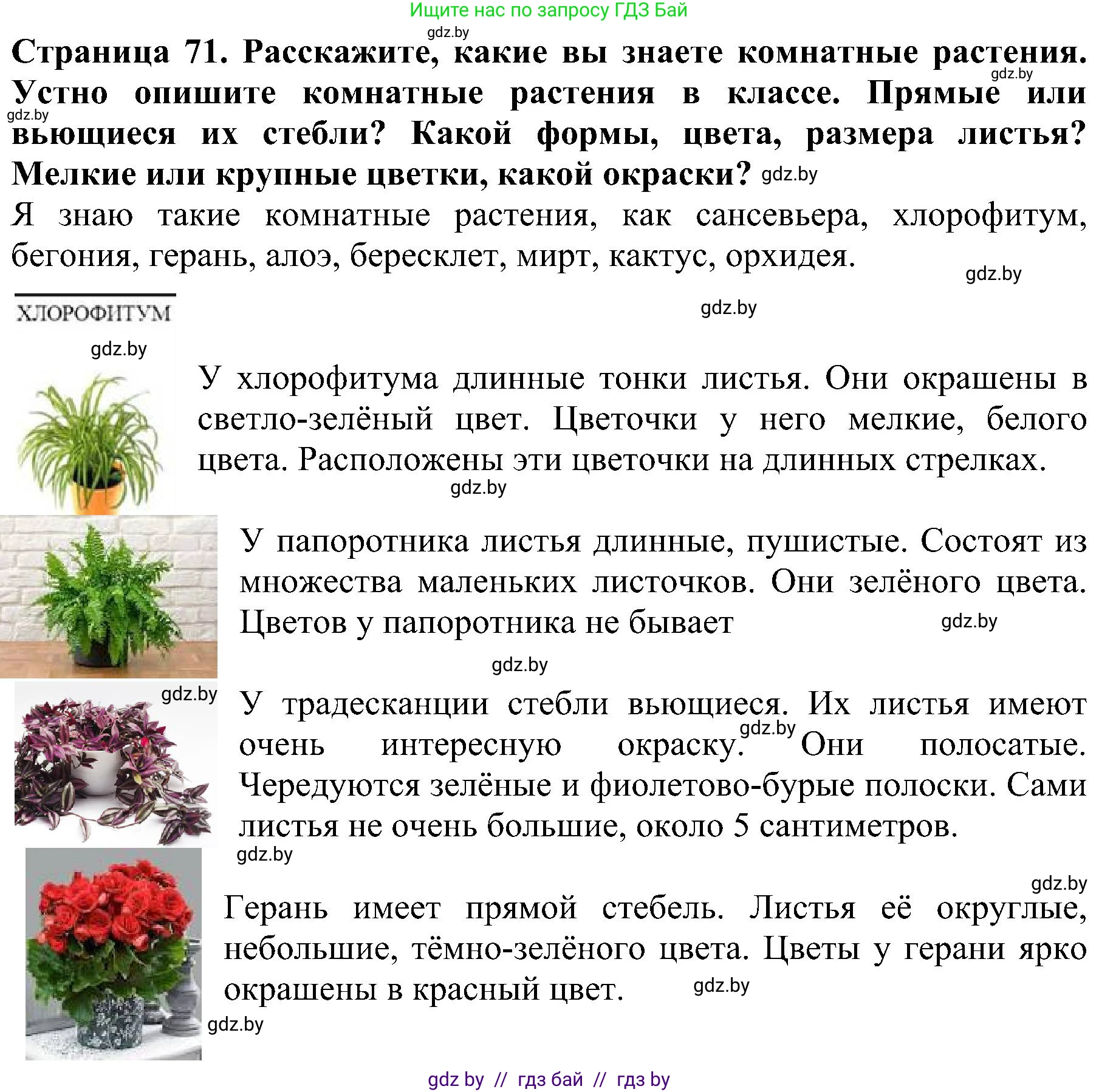 Человек и мир, 2 класс Учебник, авторы: Трафимова Галина Владимировна, Трафимов Сергей Анатольевич, издательство Академия образования, Минск, 2024, страница 71, номер 5, Решение