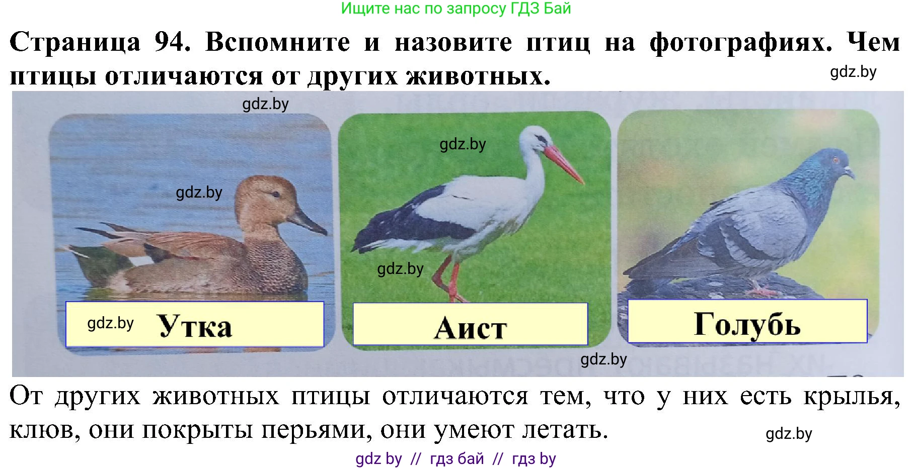 Человек и мир, 2 класс Учебник, авторы: Трафимова Галина Владимировна, Трафимов Сергей Анатольевич, издательство Академия образования, Минск, 2024, страница 94, номер 1, Решение
