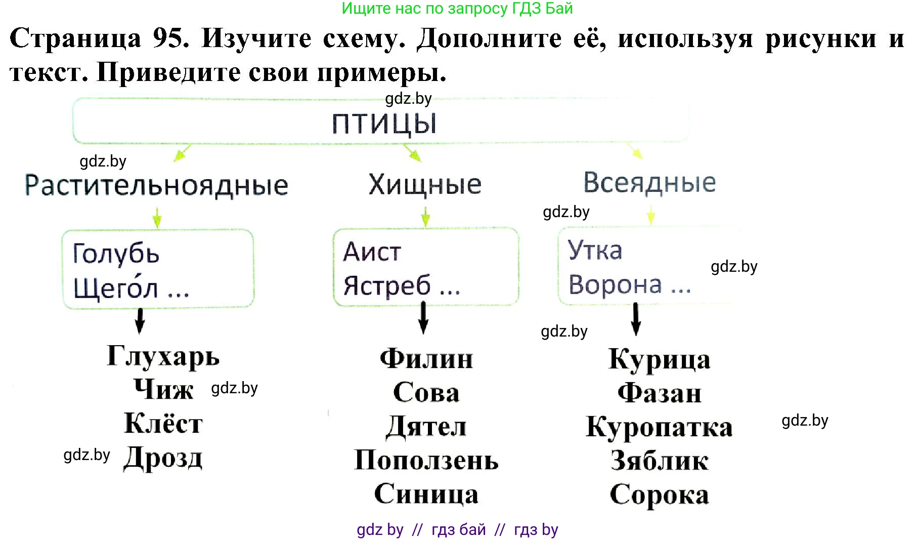 Человек и мир, 2 класс Учебник, авторы: Трафимова Галина Владимировна, Трафимов Сергей Анатольевич, издательство Академия образования, Минск, 2024, страница 95, номер 2, Решение