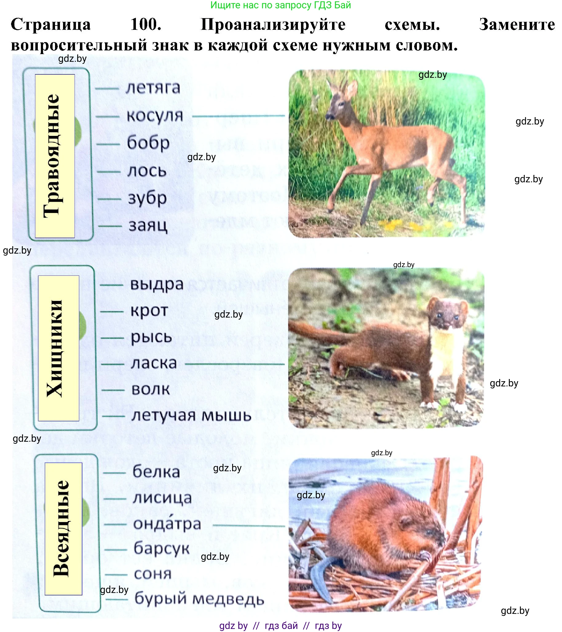 Человек и мир, 2 класс Учебник, авторы: Трафимова Галина Владимировна, Трафимов Сергей Анатольевич, издательство Академия образования, Минск, 2024, страница 100, номер 5, Решение