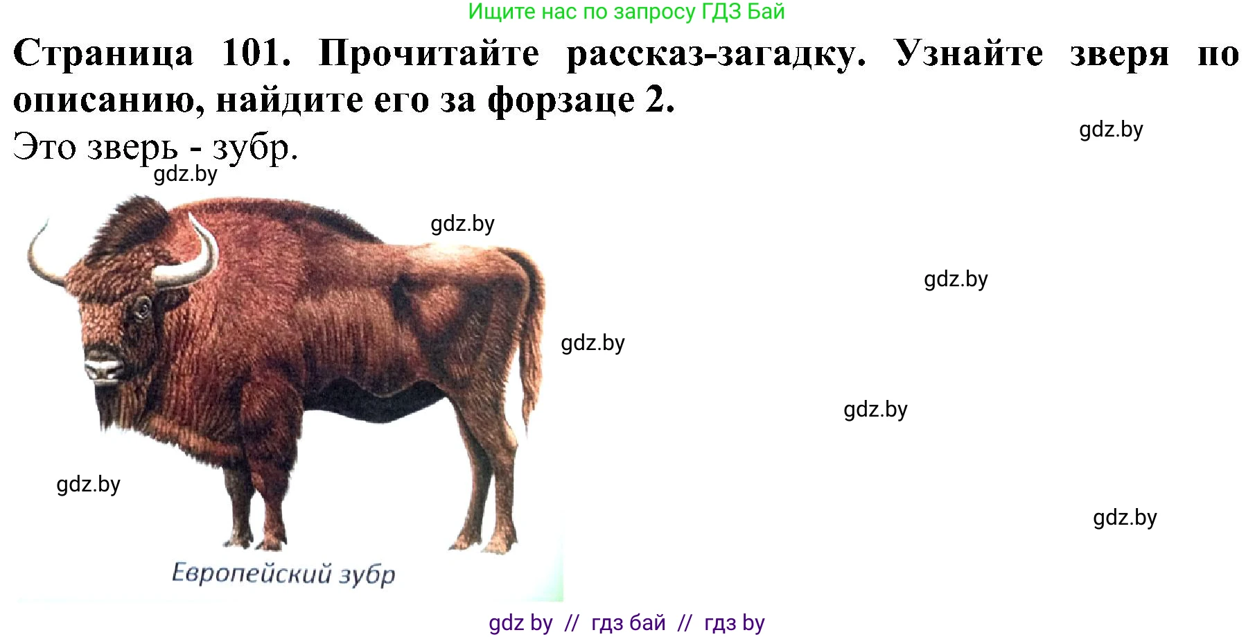 Человек и мир, 2 класс Учебник, авторы: Трафимова Галина Владимировна, Трафимов Сергей Анатольевич, издательство Академия образования, Минск, 2024, страница 101, номер 6, Решение
