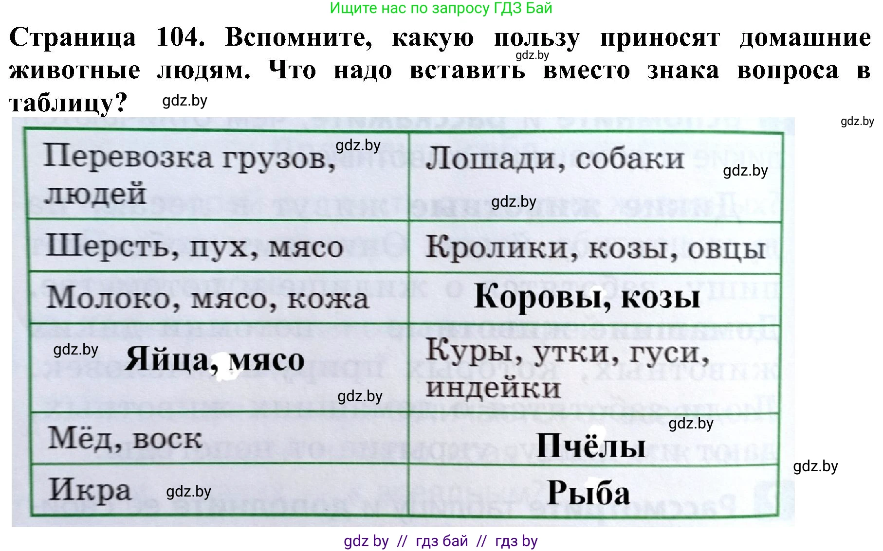 Человек и мир, 2 класс Учебник, авторы: Трафимова Галина Владимировна, Трафимов Сергей Анатольевич, издательство Академия образования, Минск, 2024, страница 104, номер 3, Решение
