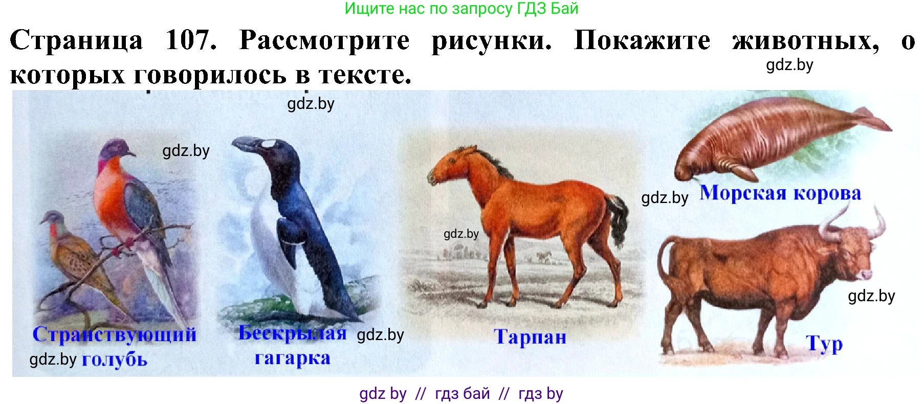 Человек и мир, 2 класс Учебник, авторы: Трафимова Галина Владимировна, Трафимов Сергей Анатольевич, издательство Академия образования, Минск, 2024, страница 107, номер 2, Решение