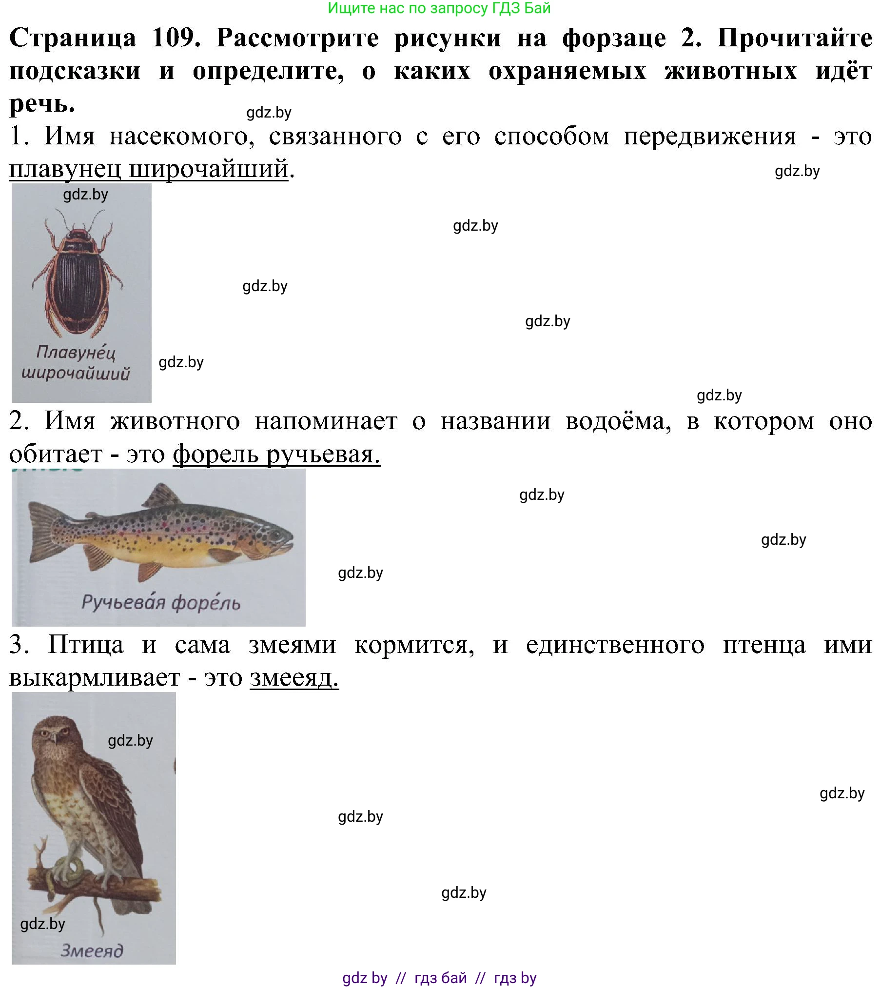 Человек и мир, 2 класс Учебник, авторы: Трафимова Галина Владимировна, Трафимов Сергей Анатольевич, издательство Академия образования, Минск, 2024, страница 109, номер 4, Решение