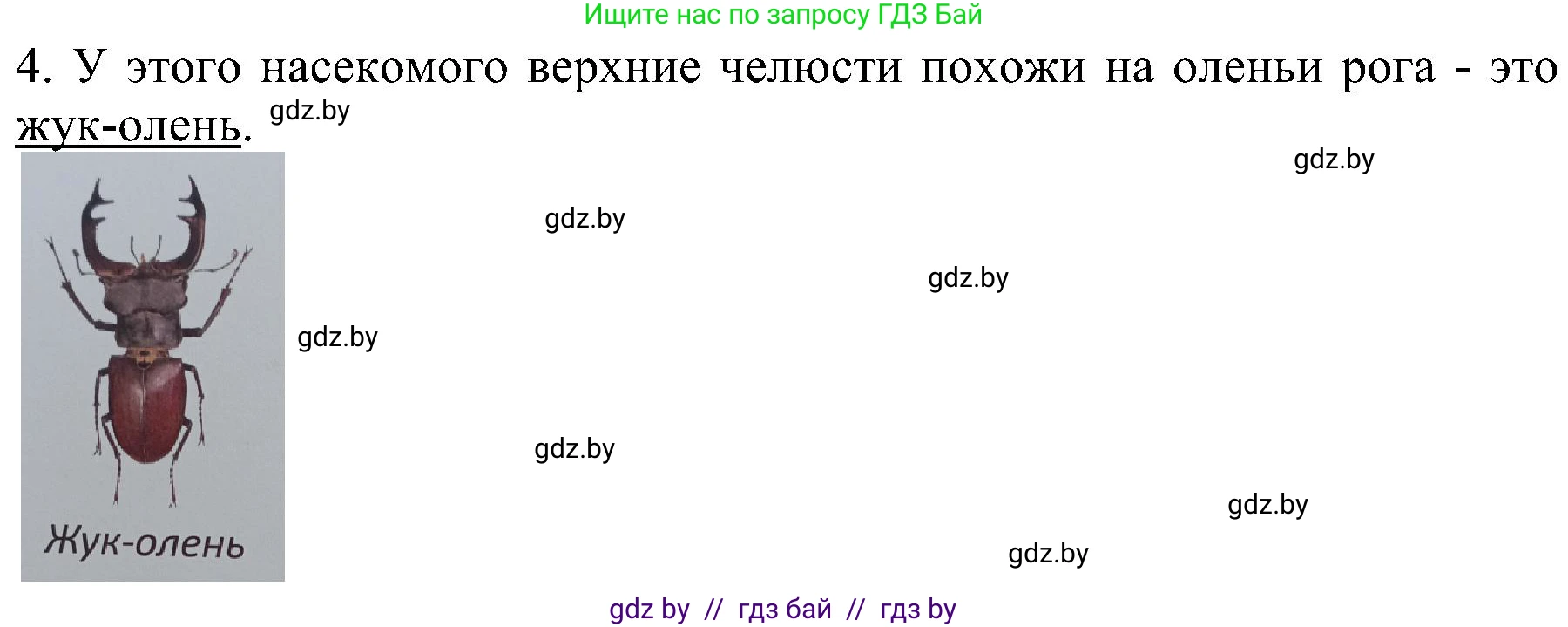 Человек и мир, 2 класс Учебник, авторы: Трафимова Галина Владимировна, Трафимов Сергей Анатольевич, издательство Академия образования, Минск, 2024, страница 109, номер 4, Решение (продолжение 2)