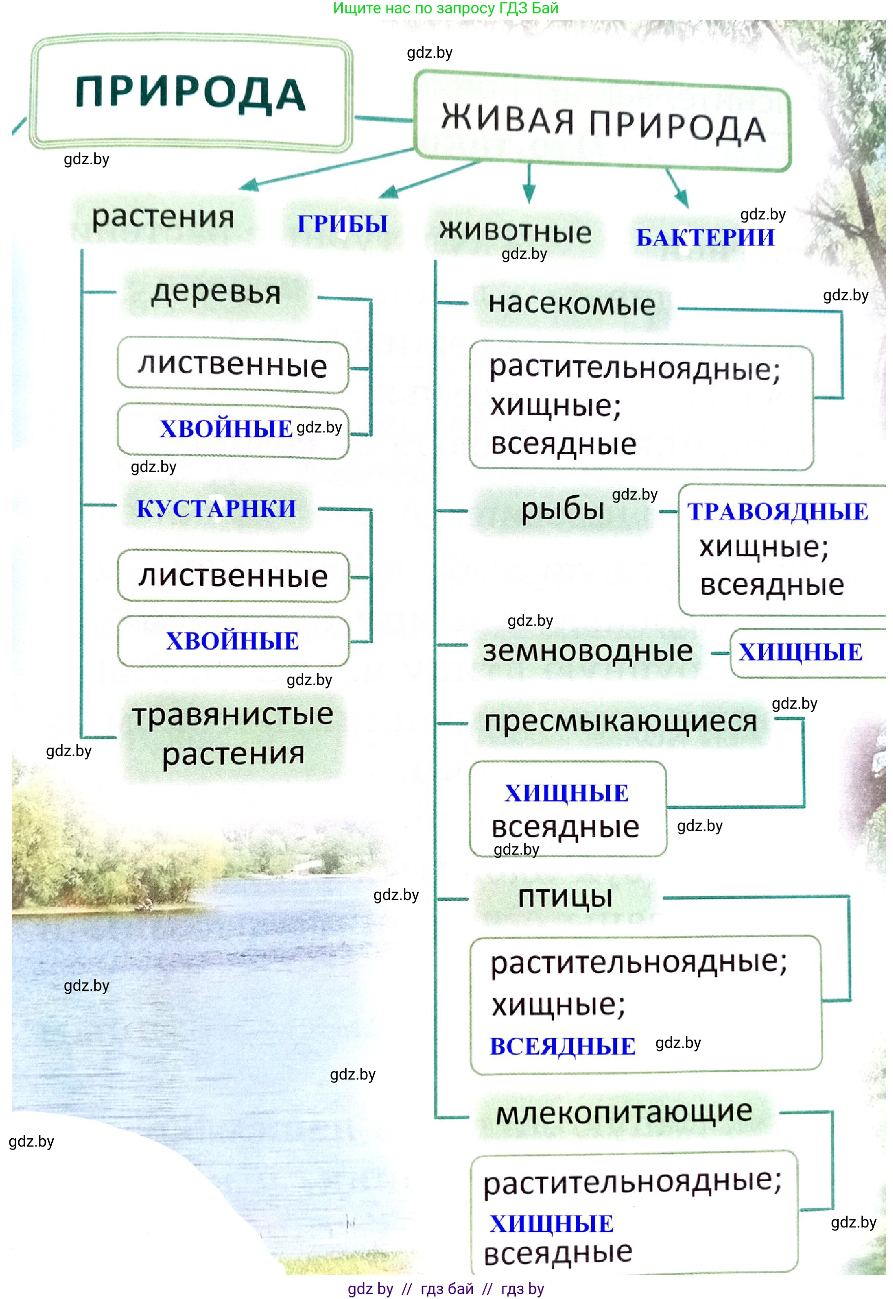 Человек и мир, 2 класс Учебник, авторы: Трафимова Галина Владимировна, Трафимов Сергей Анатольевич, издательство Академия образования, Минск, 2024, страница 140, номер 1, Решение (продолжение 2)