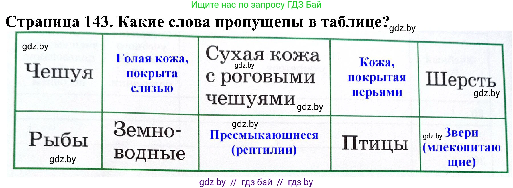 Человек и мир, 2 класс Учебник, авторы: Трафимова Галина Владимировна, Трафимов Сергей Анатольевич, издательство Академия образования, Минск, 2024, страница 143, номер 4, Решение