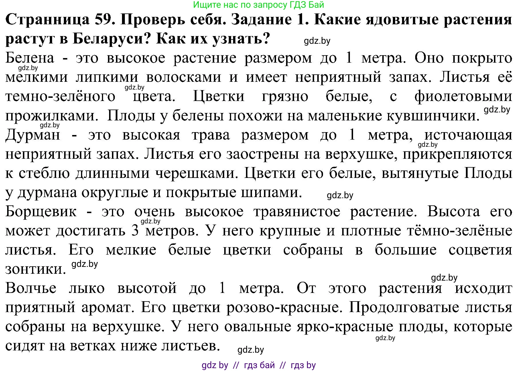 Человек и мир, 2 класс Учебник, авторы: Трафимова Галина Владимировна, Трафимов Сергей Анатольевич, издательство Академия образования, Минск, 2024, страница 59, номер 1, Решение