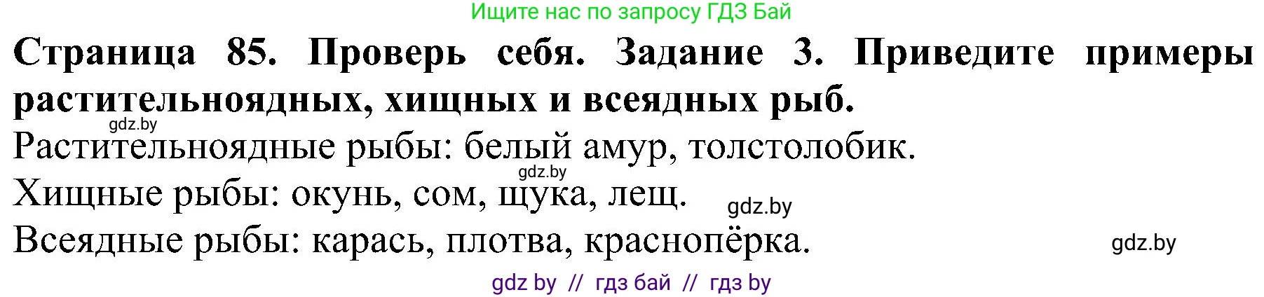 Человек и мир, 2 класс Учебник, авторы: Трафимова Галина Владимировна, Трафимов Сергей Анатольевич, издательство Академия образования, Минск, 2024, страница 85, номер 3, Решение