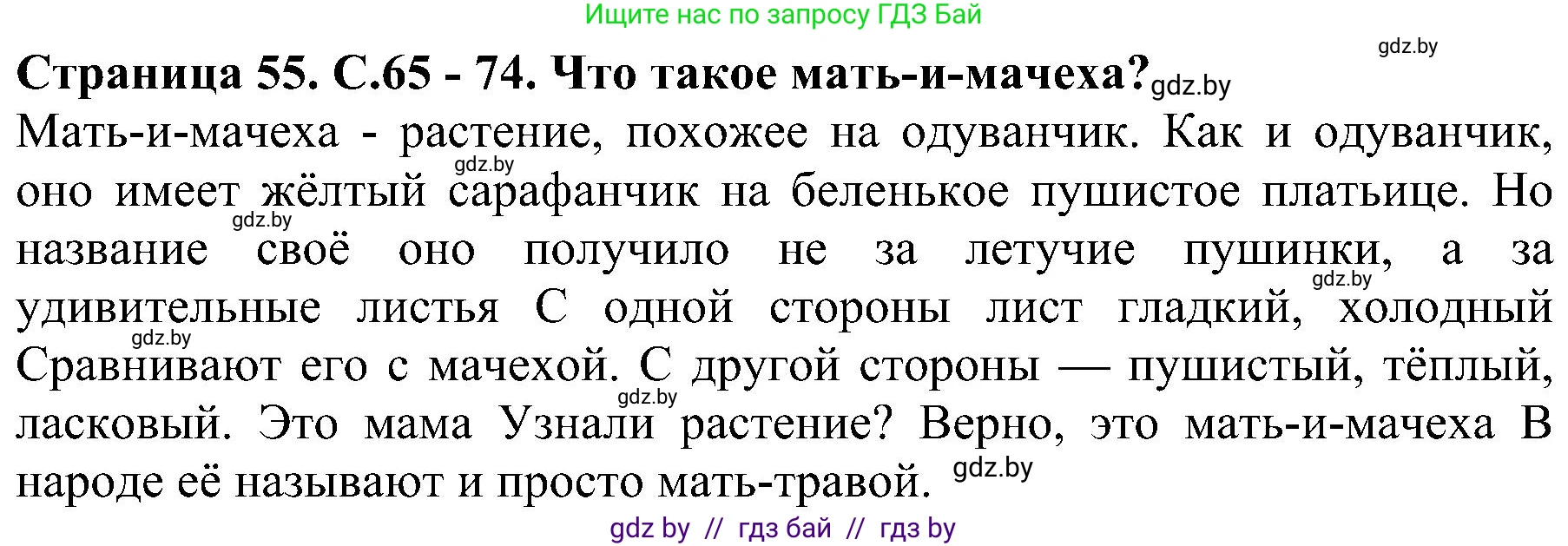 Человек и мир, 2 класс Учебник, авторы: Трафимова Галина Владимировна, Трафимов Сергей Анатольевич, издательство Академия образования, Минск, 2024, страница 55, номер 3, Решение