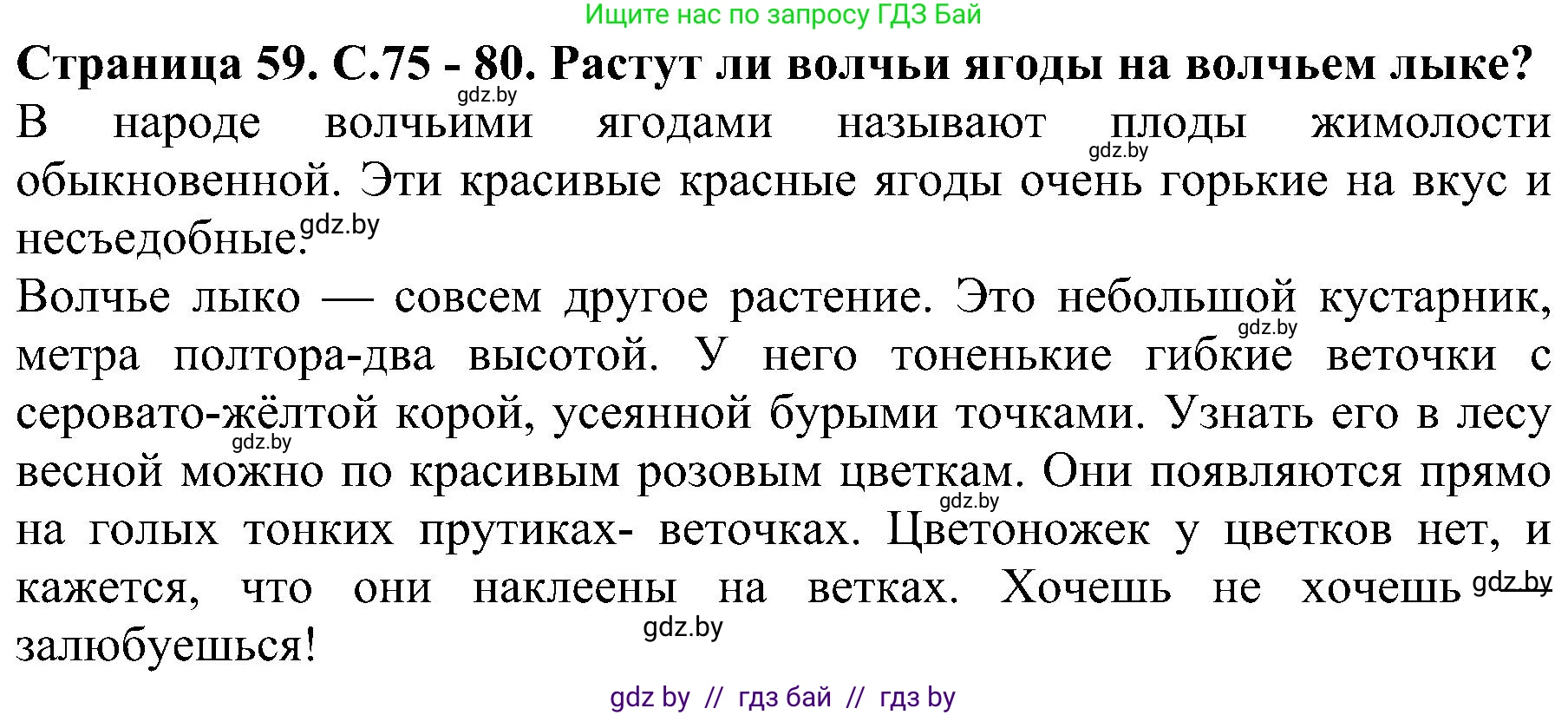Человек и мир, 2 класс Учебник, авторы: Трафимова Галина Владимировна, Трафимов Сергей Анатольевич, издательство Академия образования, Минск, 2024, страница 59, номер 3, Решение