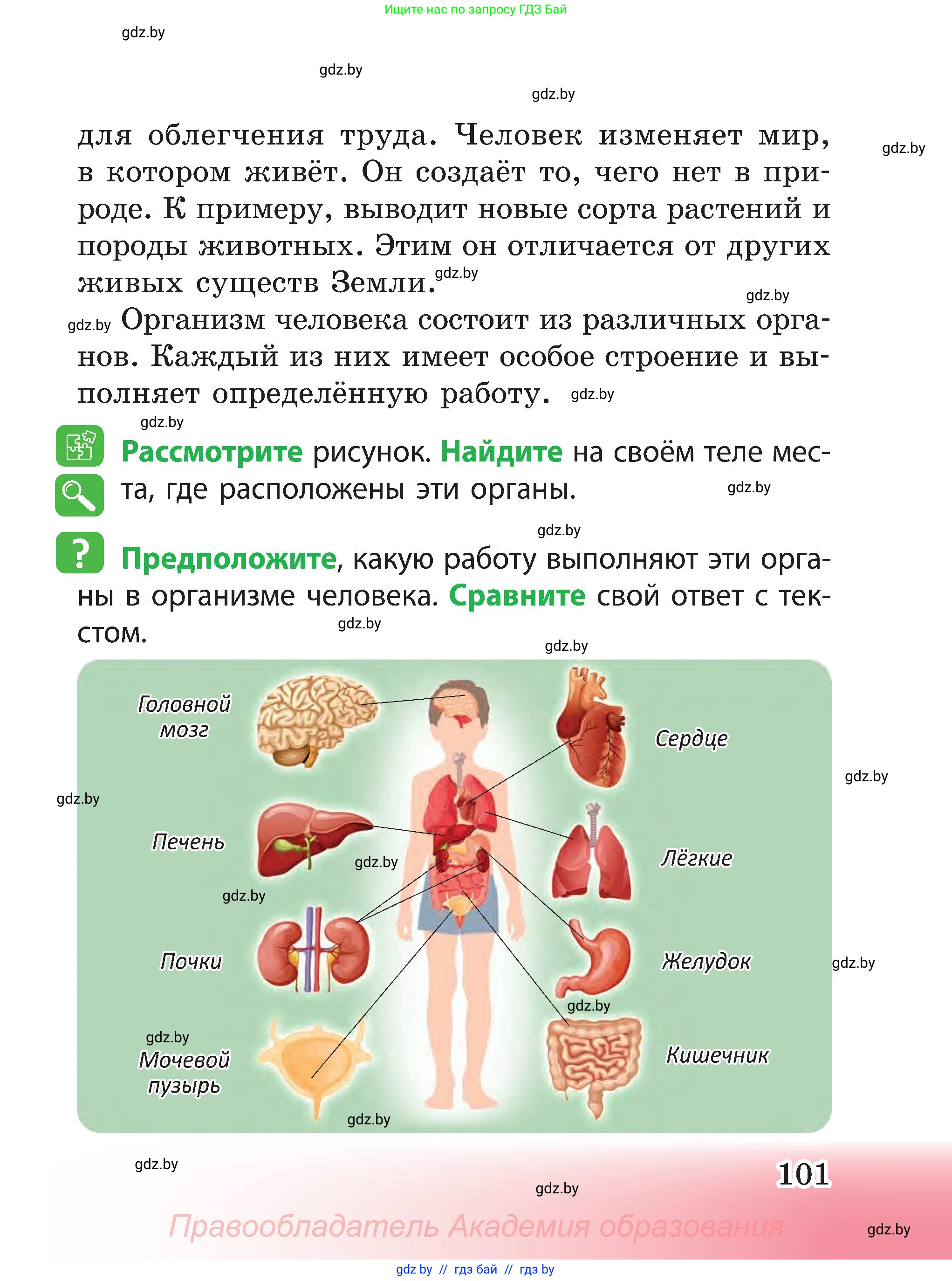 Человек и мир, 3 класс Учебник, авторы: Трафимова Галина Владимировна, Трафимов Сергей Анатольевич, издательство Академия образования, Минск, 2025, голубого цвета, страница 101