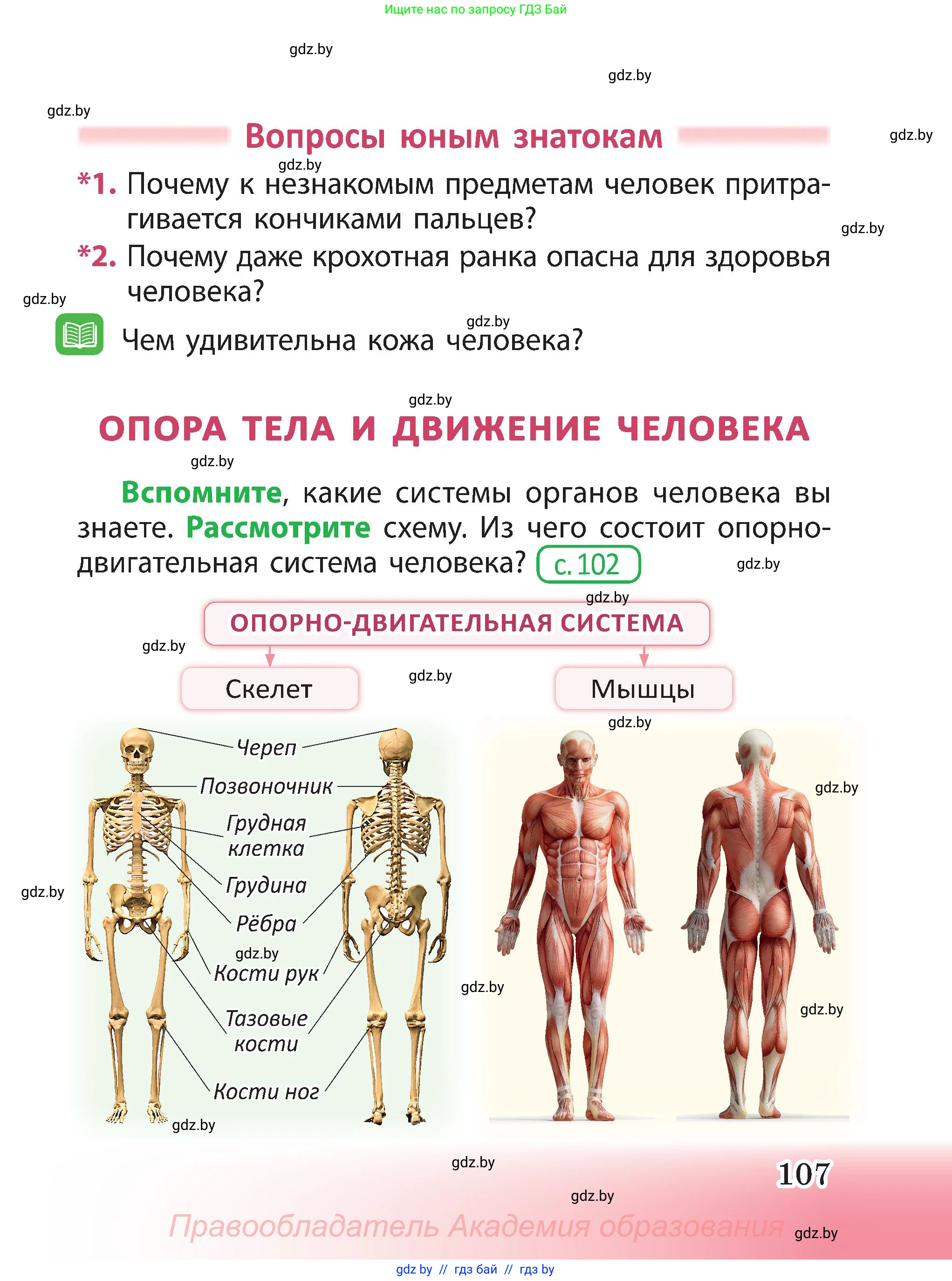 Человек и мир, 3 класс Учебник, авторы: Трафимова Галина Владимировна, Трафимов Сергей Анатольевич, издательство Академия образования, Минск, 2025, голубого цвета, страница 107