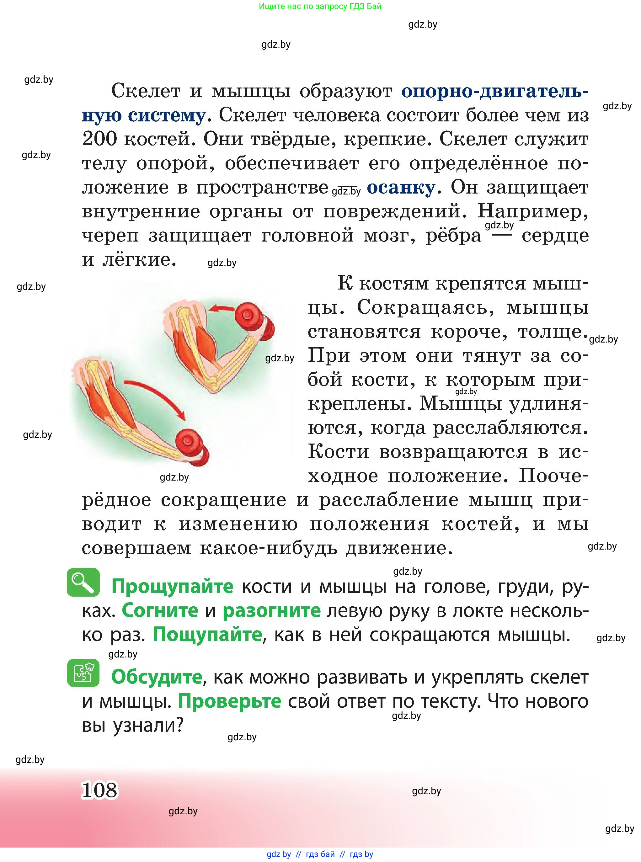 Человек и мир, 3 класс Учебник, авторы: Трафимова Галина Владимировна, Трафимов Сергей Анатольевич, издательство Академия образования, Минск, 2025, голубого цвета, страница 108