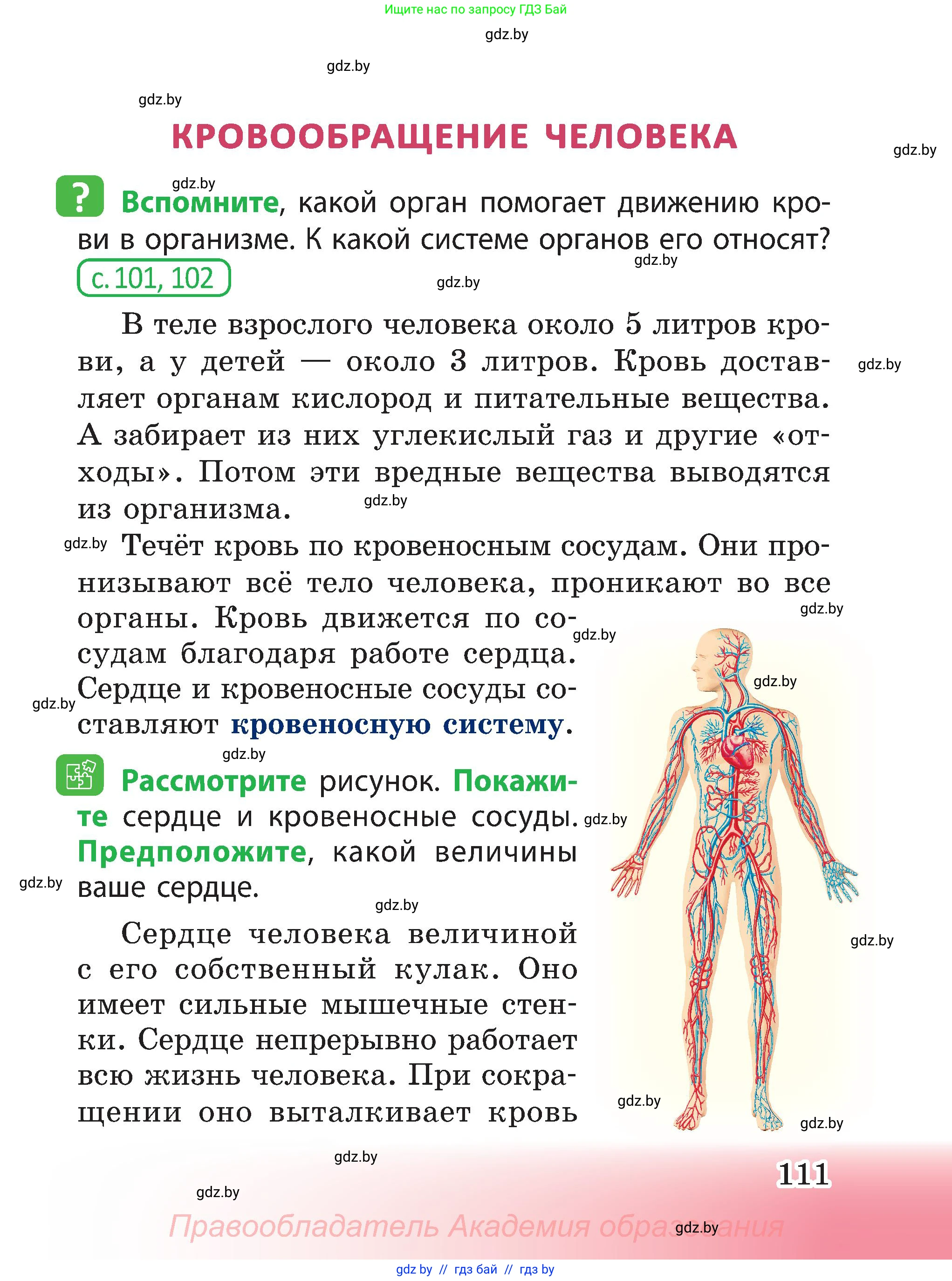 Человек и мир, 3 класс Учебник, авторы: Трафимова Галина Владимировна, Трафимов Сергей Анатольевич, издательство Академия образования, Минск, 2025, голубого цвета, страница 111
