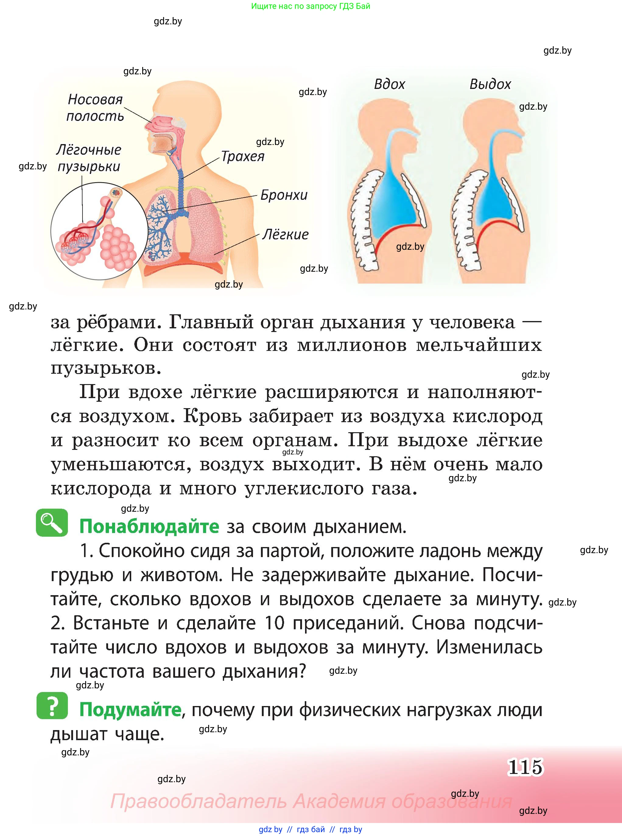 Человек и мир, 3 класс Учебник, авторы: Трафимова Галина Владимировна, Трафимов Сергей Анатольевич, издательство Академия образования, Минск, 2025, голубого цвета, страница 115