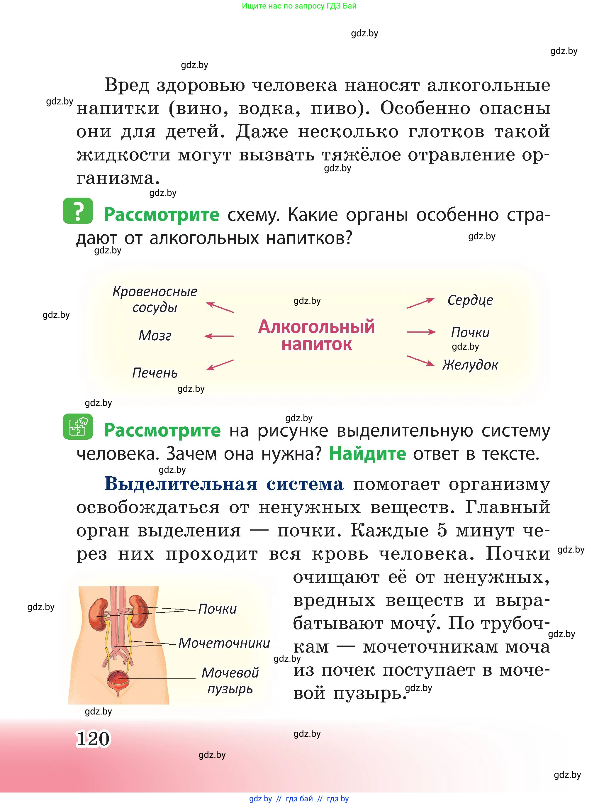 Человек и мир, 3 класс Учебник, авторы: Трафимова Галина Владимировна, Трафимов Сергей Анатольевич, издательство Академия образования, Минск, 2025, голубого цвета, страница 120