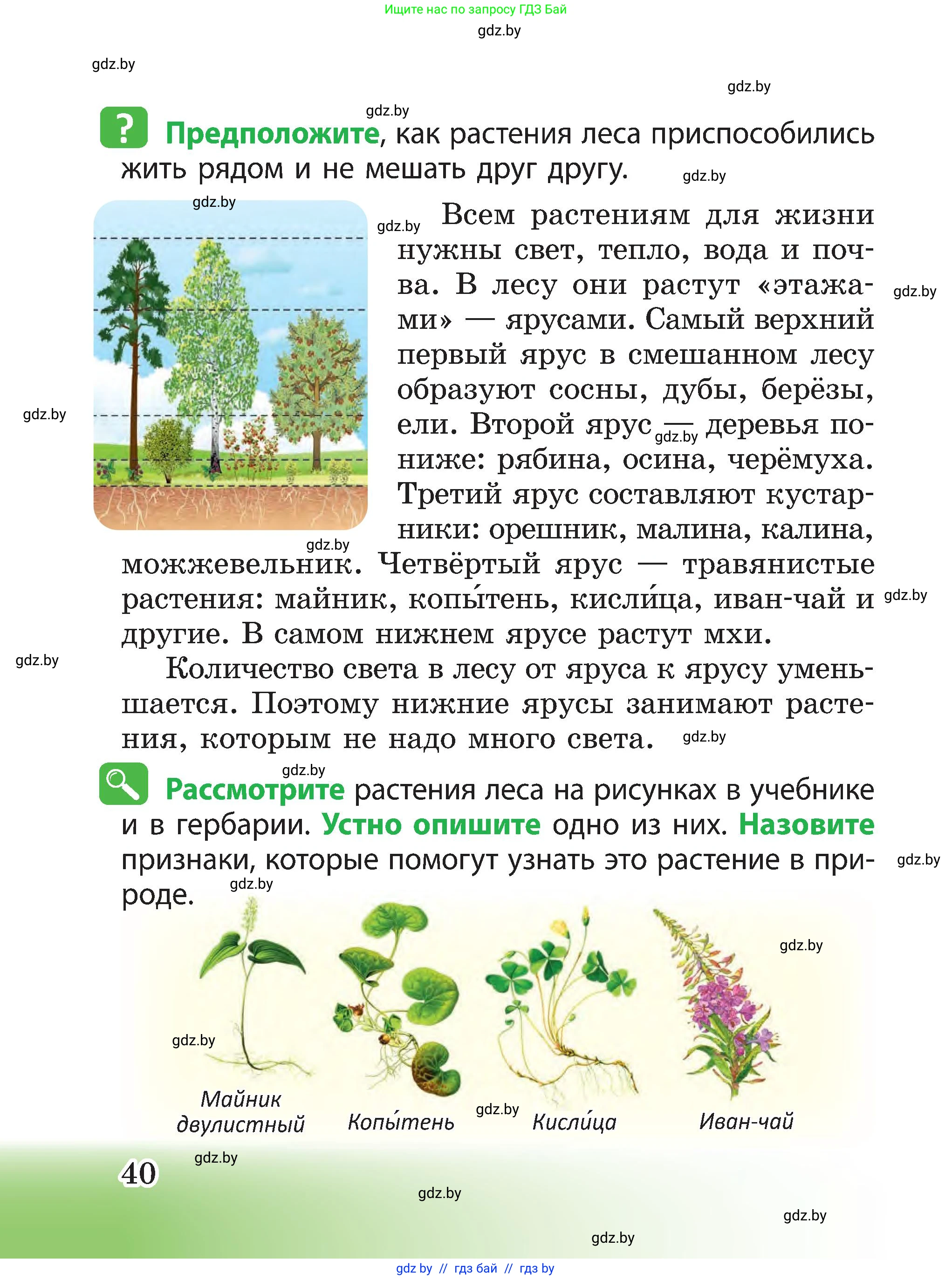 Человек и мир, 3 класс Учебник, авторы: Трафимова Галина Владимировна, Трафимов Сергей Анатольевич, издательство Академия образования, Минск, 2025, голубого цвета, страница 40