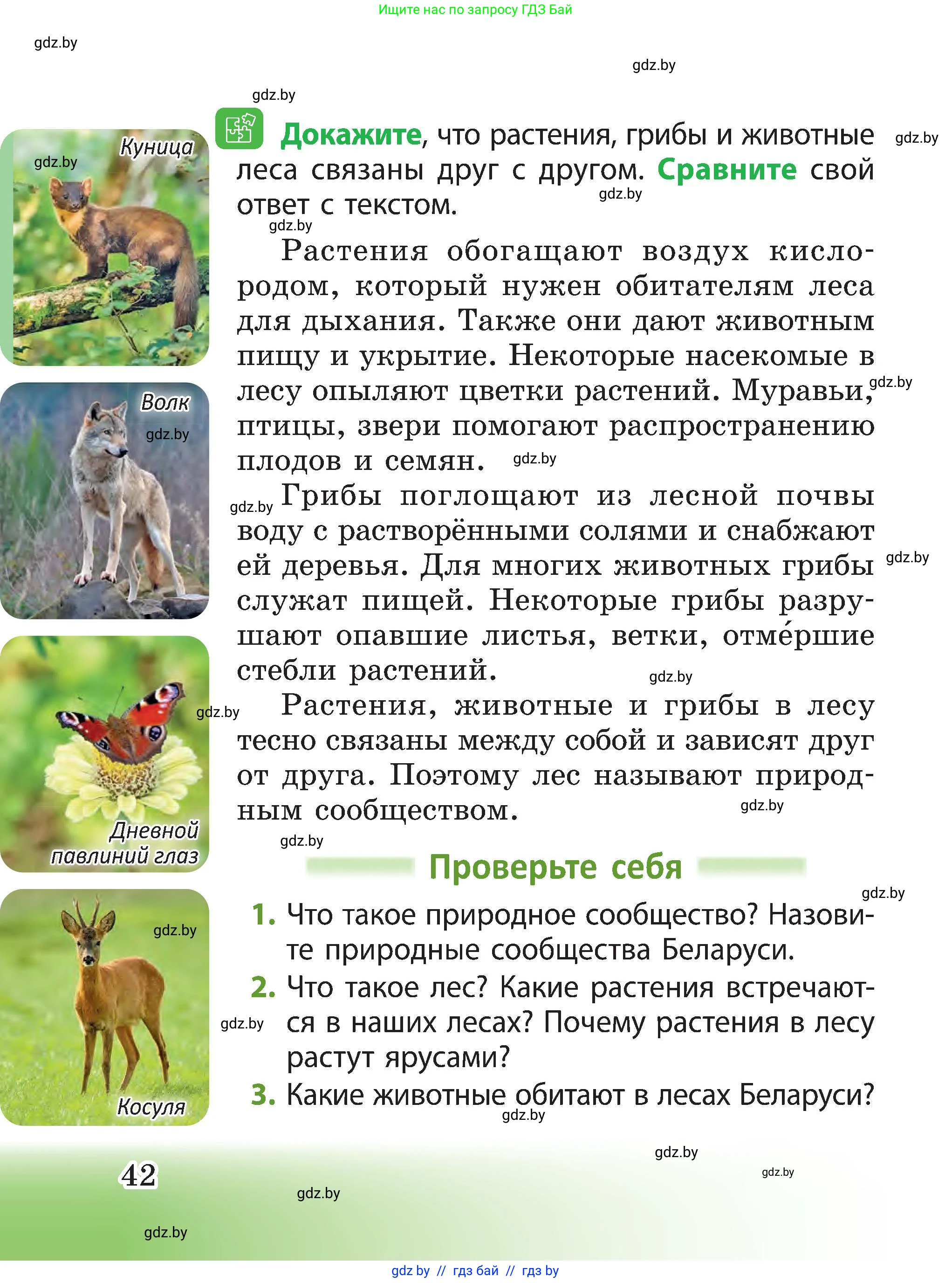 Человек и мир, 3 класс Учебник, авторы: Трафимова Галина Владимировна, Трафимов Сергей Анатольевич, издательство Академия образования, Минск, 2025, голубого цвета, страница 42
