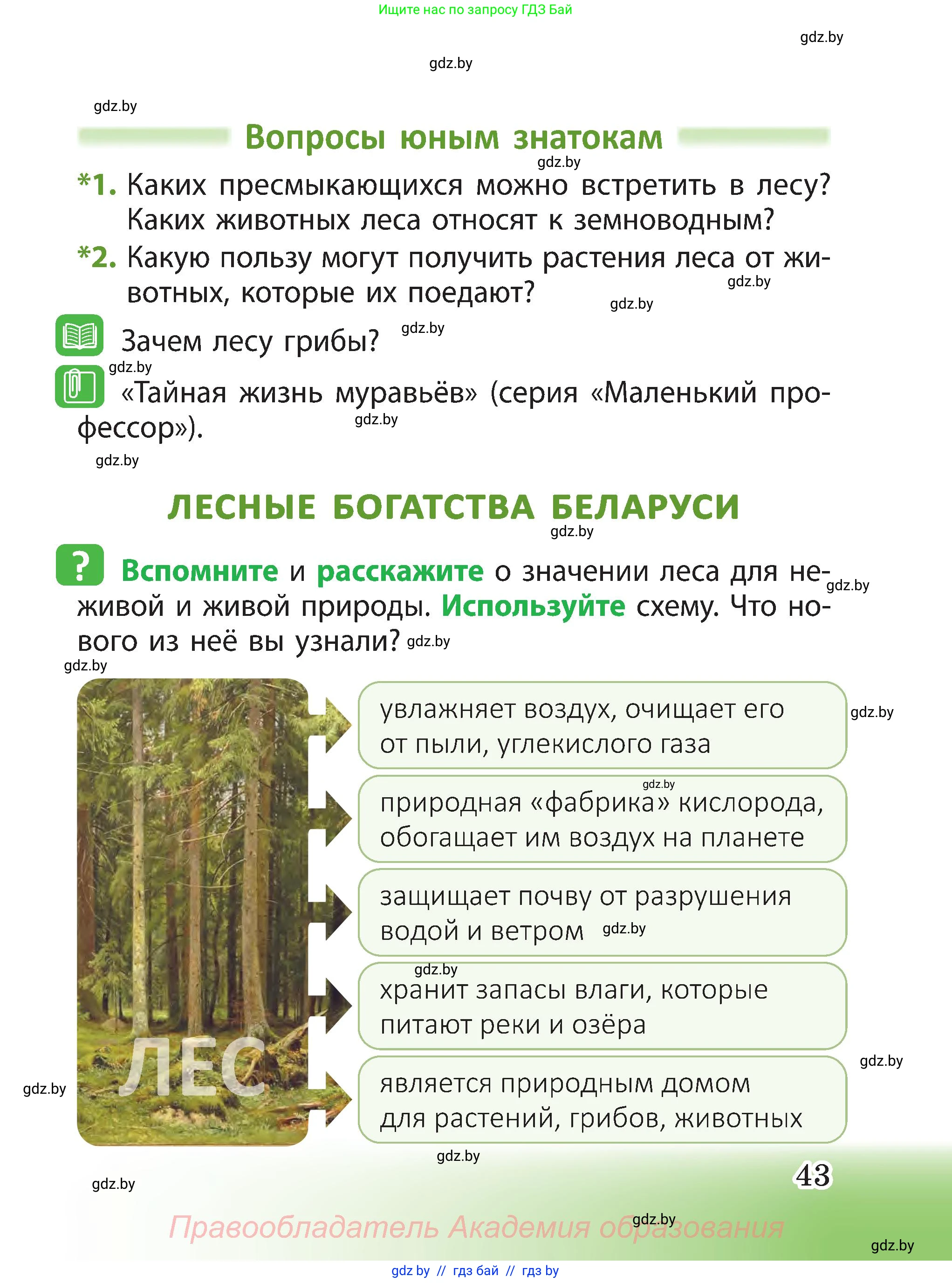 Человек и мир, 3 класс Учебник, авторы: Трафимова Галина Владимировна, Трафимов Сергей Анатольевич, издательство Академия образования, Минск, 2025, голубого цвета, страница 43