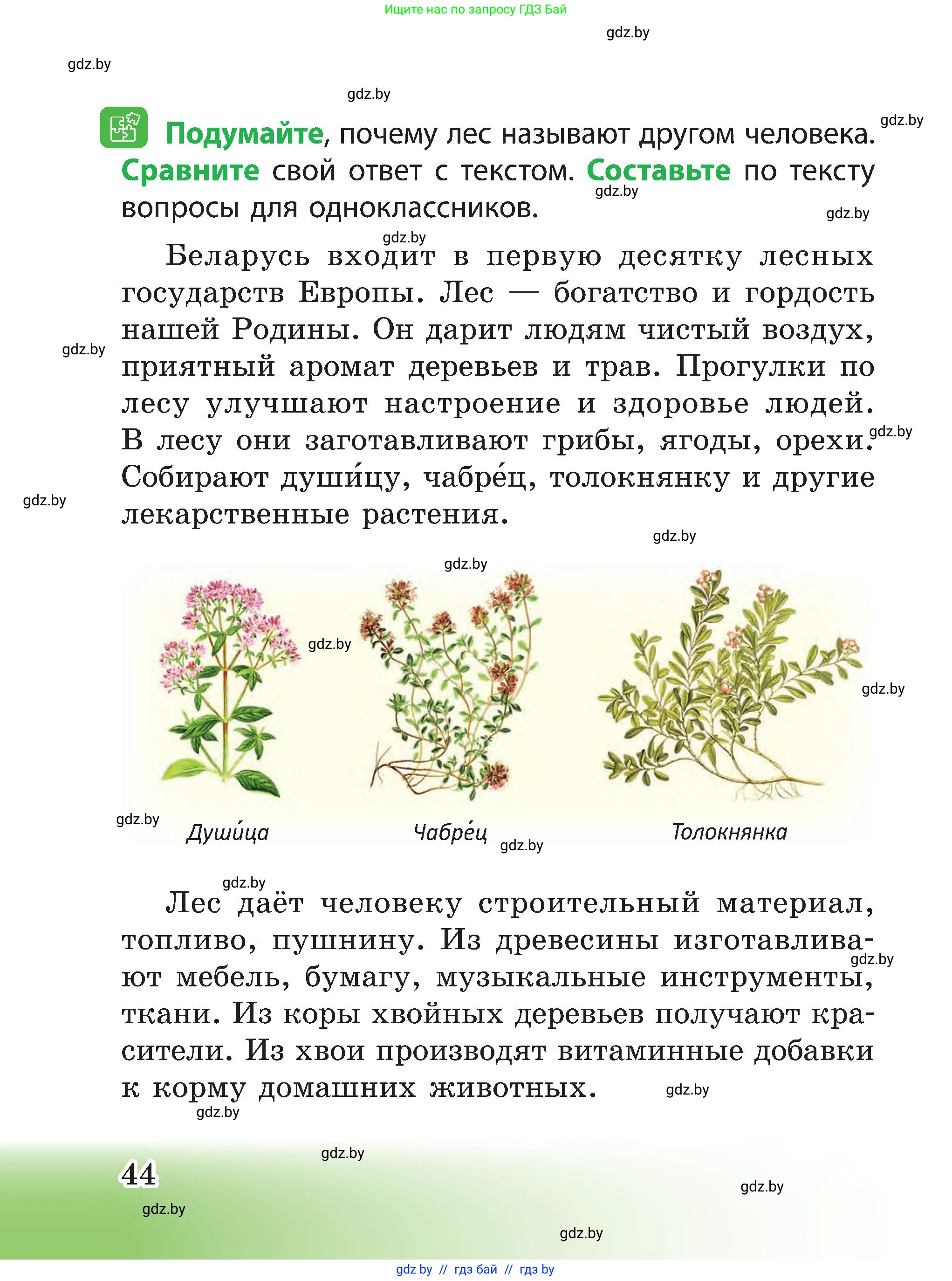 Человек и мир, 3 класс Учебник, авторы: Трафимова Галина Владимировна, Трафимов Сергей Анатольевич, издательство Академия образования, Минск, 2025, голубого цвета, страница 44