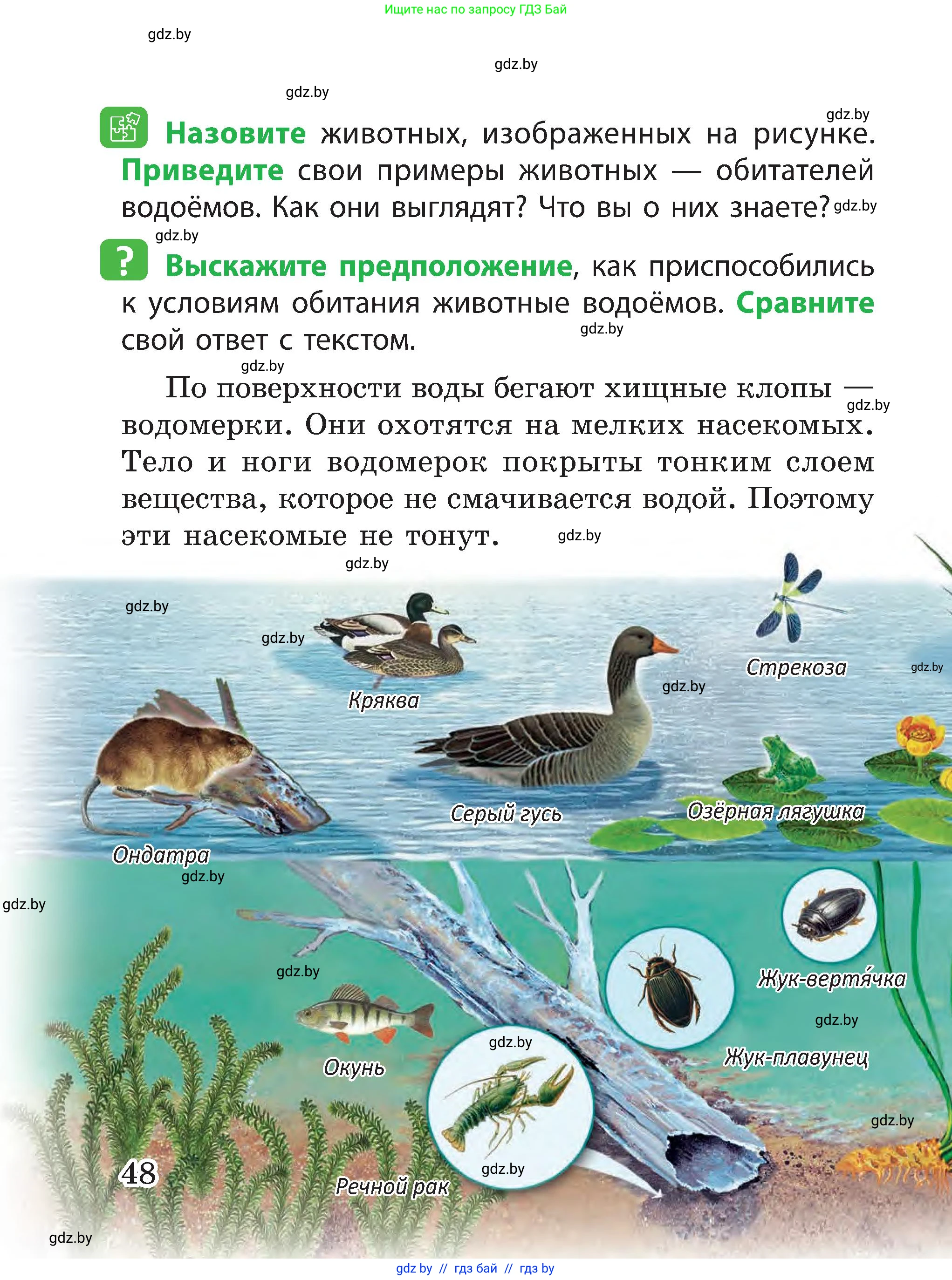 Человек и мир, 3 класс Учебник, авторы: Трафимова Галина Владимировна, Трафимов Сергей Анатольевич, издательство Академия образования, Минск, 2025, голубого цвета, страница 48