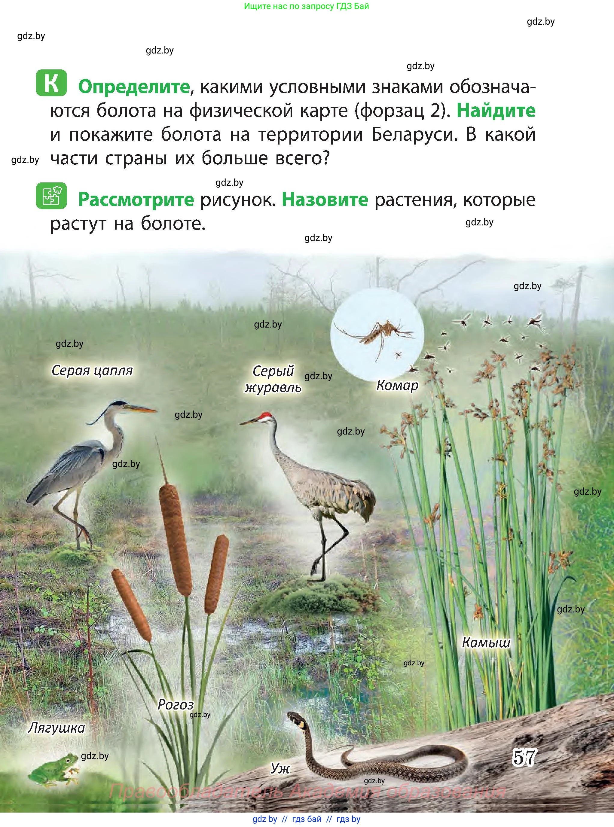 Человек и мир, 3 класс Учебник, авторы: Трафимова Галина Владимировна, Трафимов Сергей Анатольевич, издательство Академия образования, Минск, 2025, голубого цвета, страница 57