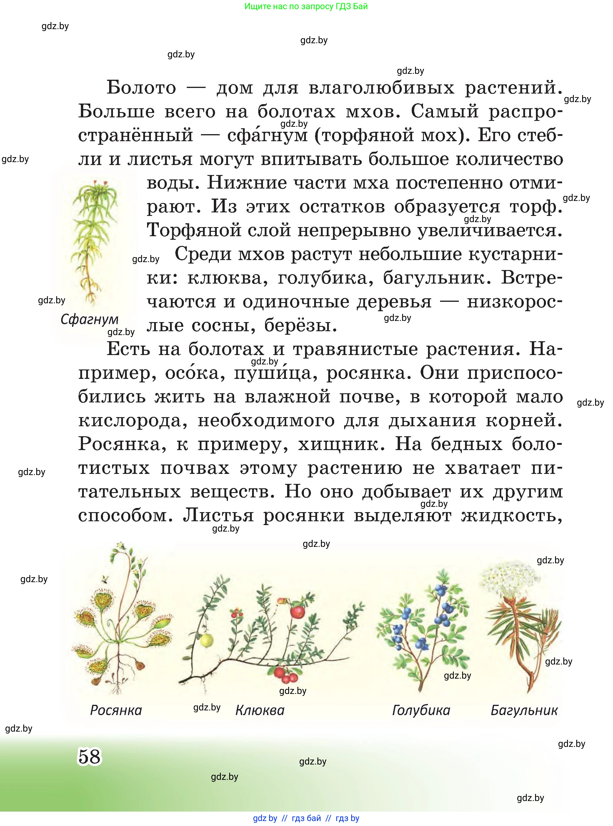 Человек и мир, 3 класс Учебник, авторы: Трафимова Галина Владимировна, Трафимов Сергей Анатольевич, издательство Академия образования, Минск, 2025, голубого цвета, страница 58
