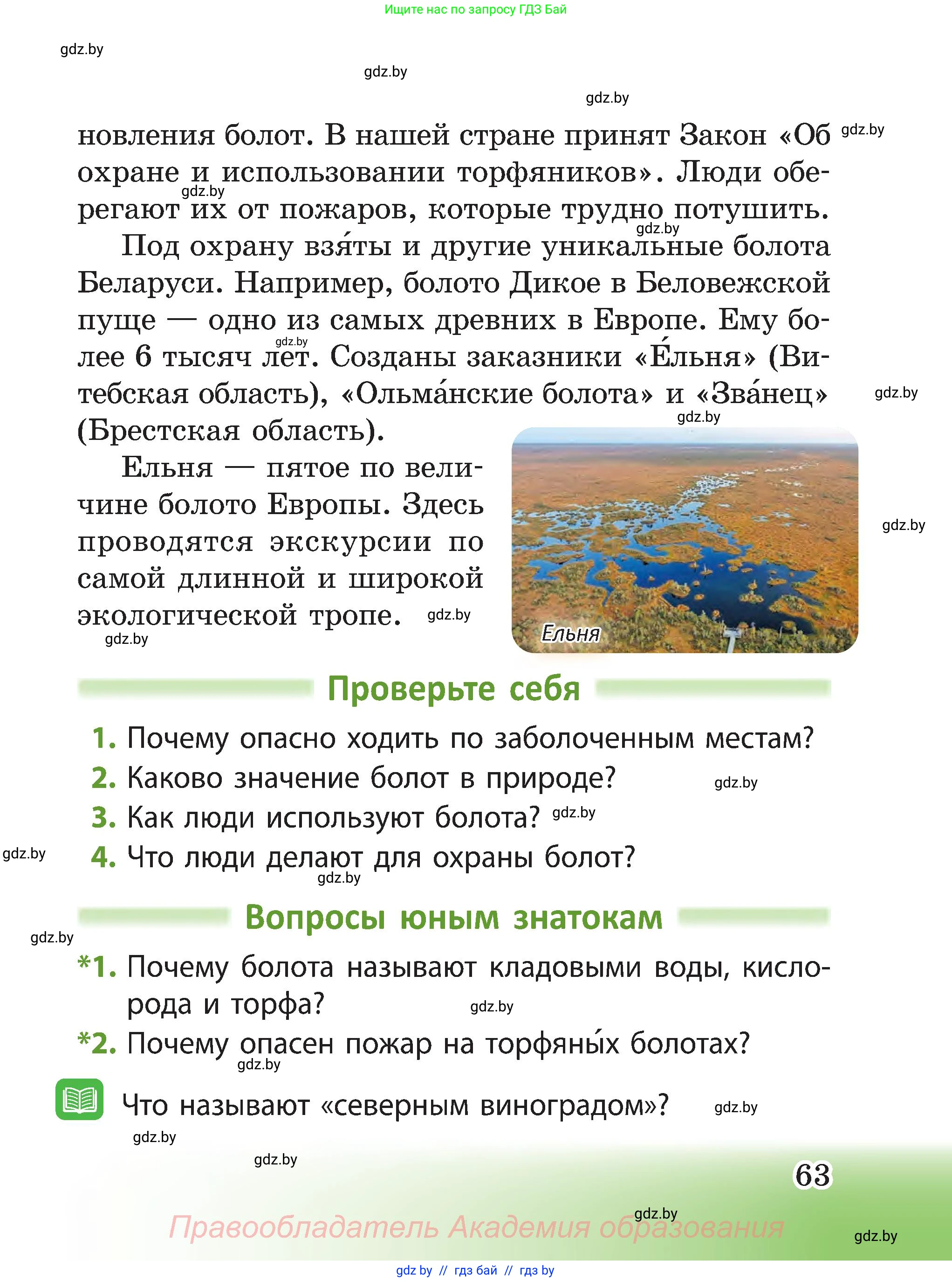 Человек и мир, 3 класс Учебник, авторы: Трафимова Галина Владимировна, Трафимов Сергей Анатольевич, издательство Академия образования, Минск, 2025, голубого цвета, страница 63