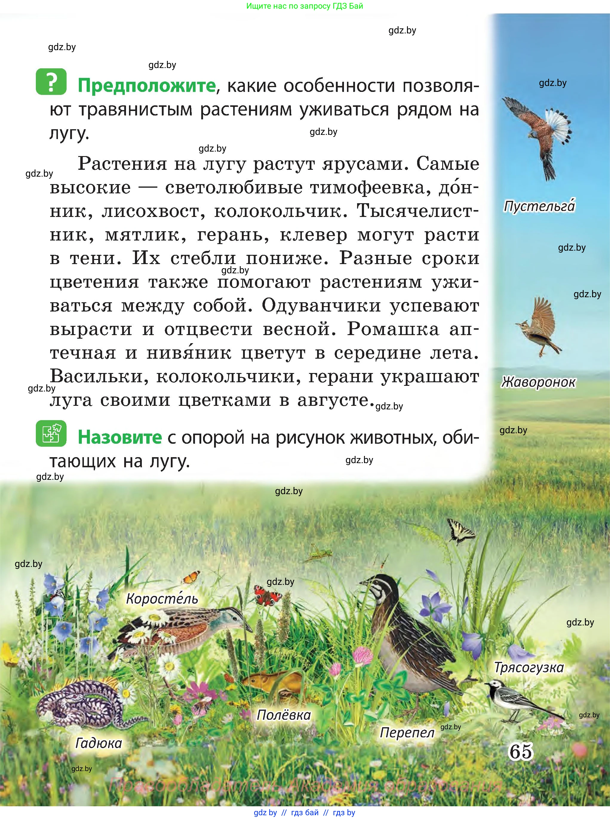 Человек и мир, 3 класс Учебник, авторы: Трафимова Галина Владимировна, Трафимов Сергей Анатольевич, издательство Академия образования, Минск, 2025, голубого цвета, страница 65