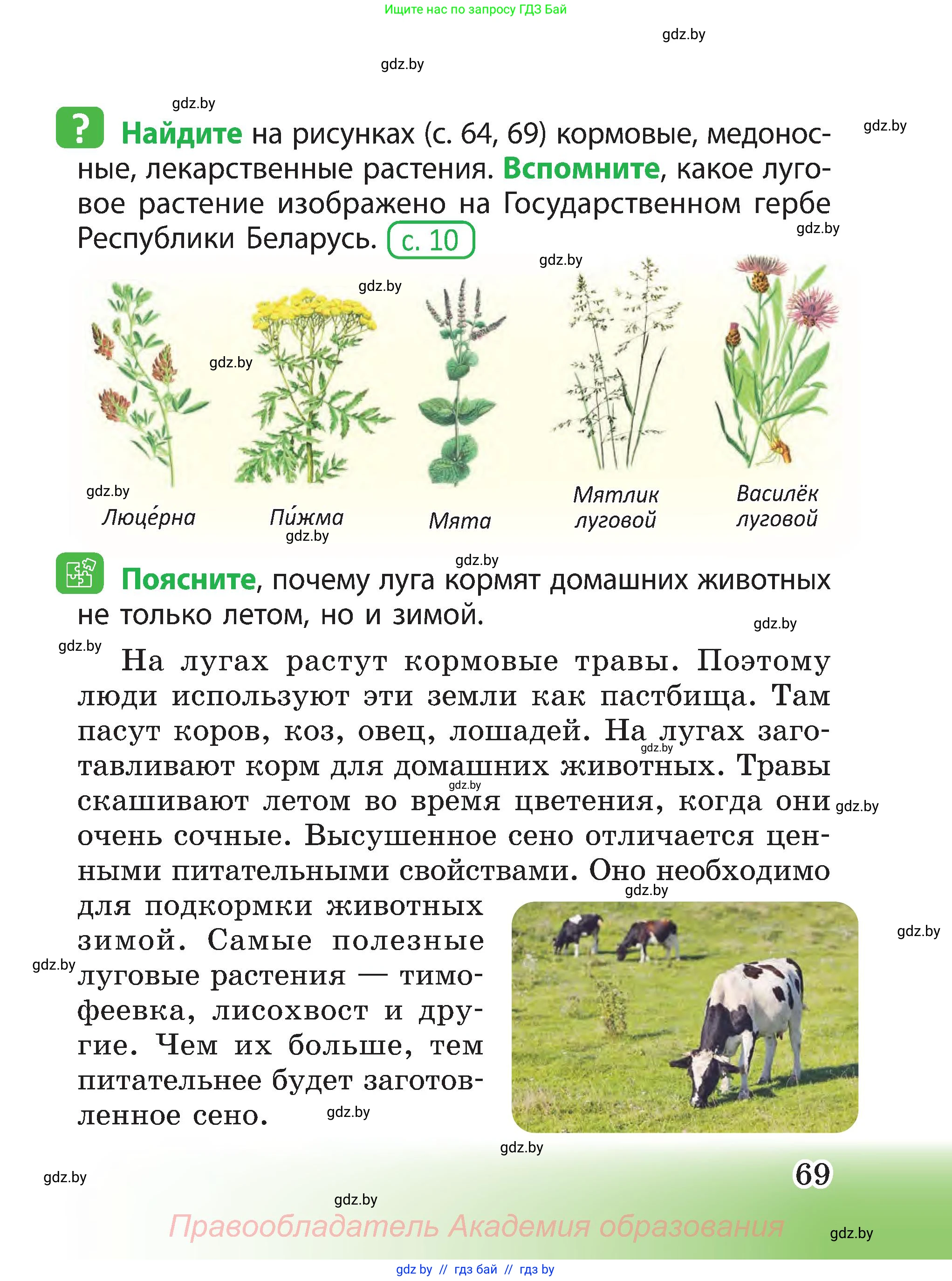 Человек и мир, 3 класс Учебник, авторы: Трафимова Галина Владимировна, Трафимов Сергей Анатольевич, издательство Академия образования, Минск, 2025, голубого цвета, страница 69