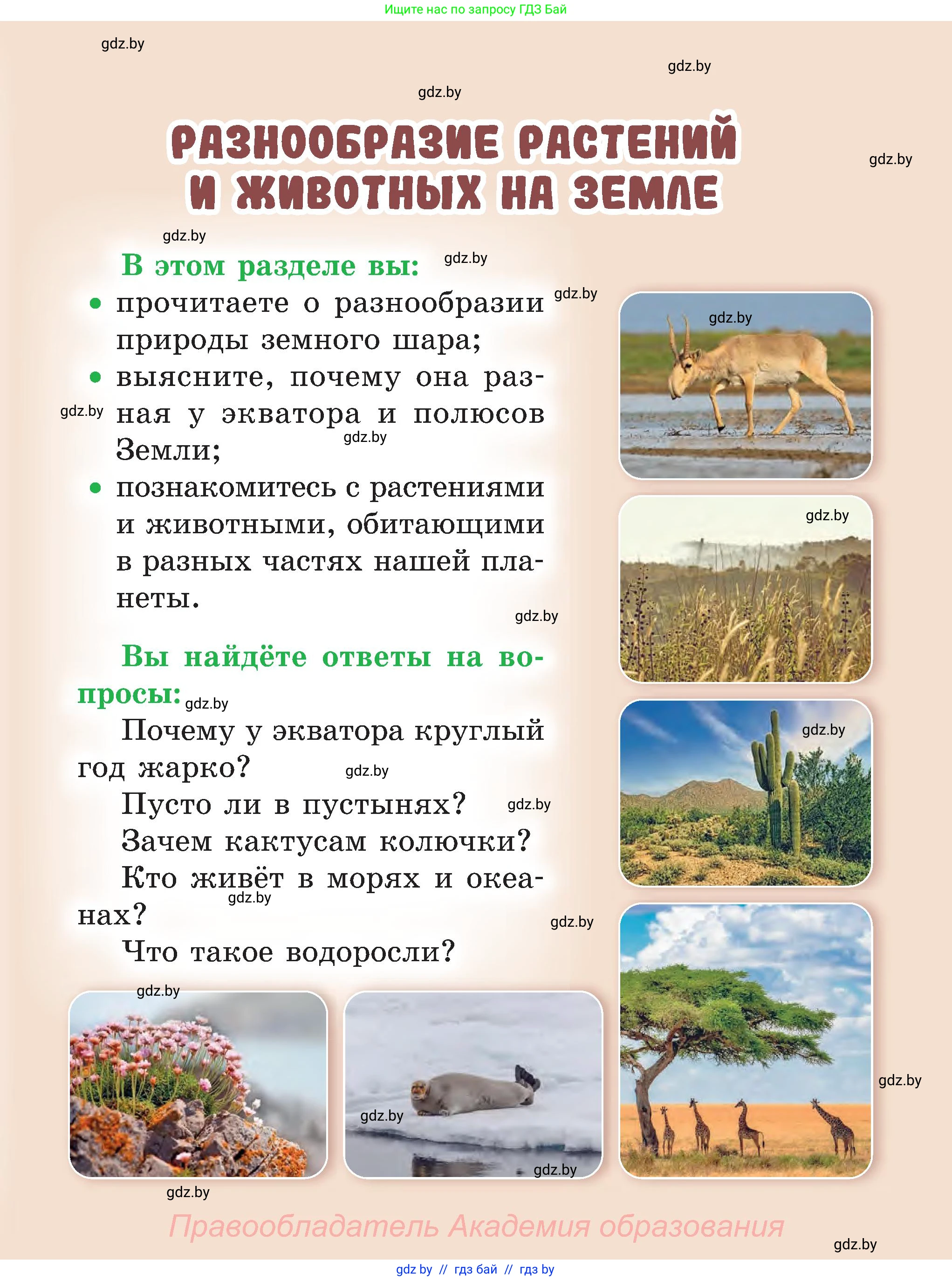Человек и мир, 3 класс Учебник, авторы: Трафимова Галина Владимировна, Трафимов Сергей Анатольевич, издательство Академия образования, Минск, 2025, голубого цвета, страница 77