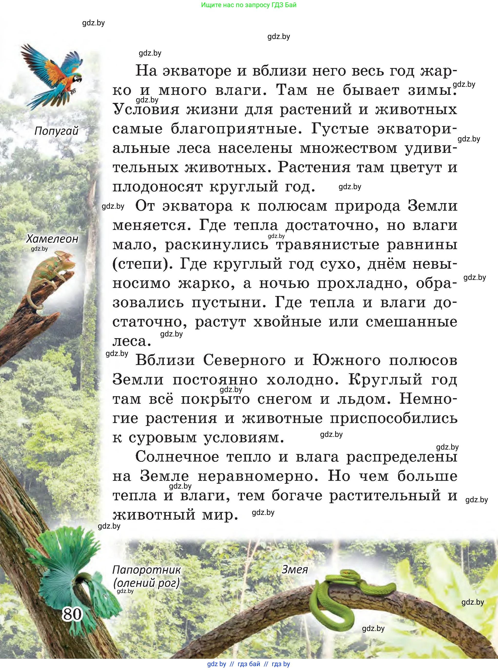 Человек и мир, 3 класс Учебник, авторы: Трафимова Галина Владимировна, Трафимов Сергей Анатольевич, издательство Академия образования, Минск, 2025, голубого цвета, страница 80