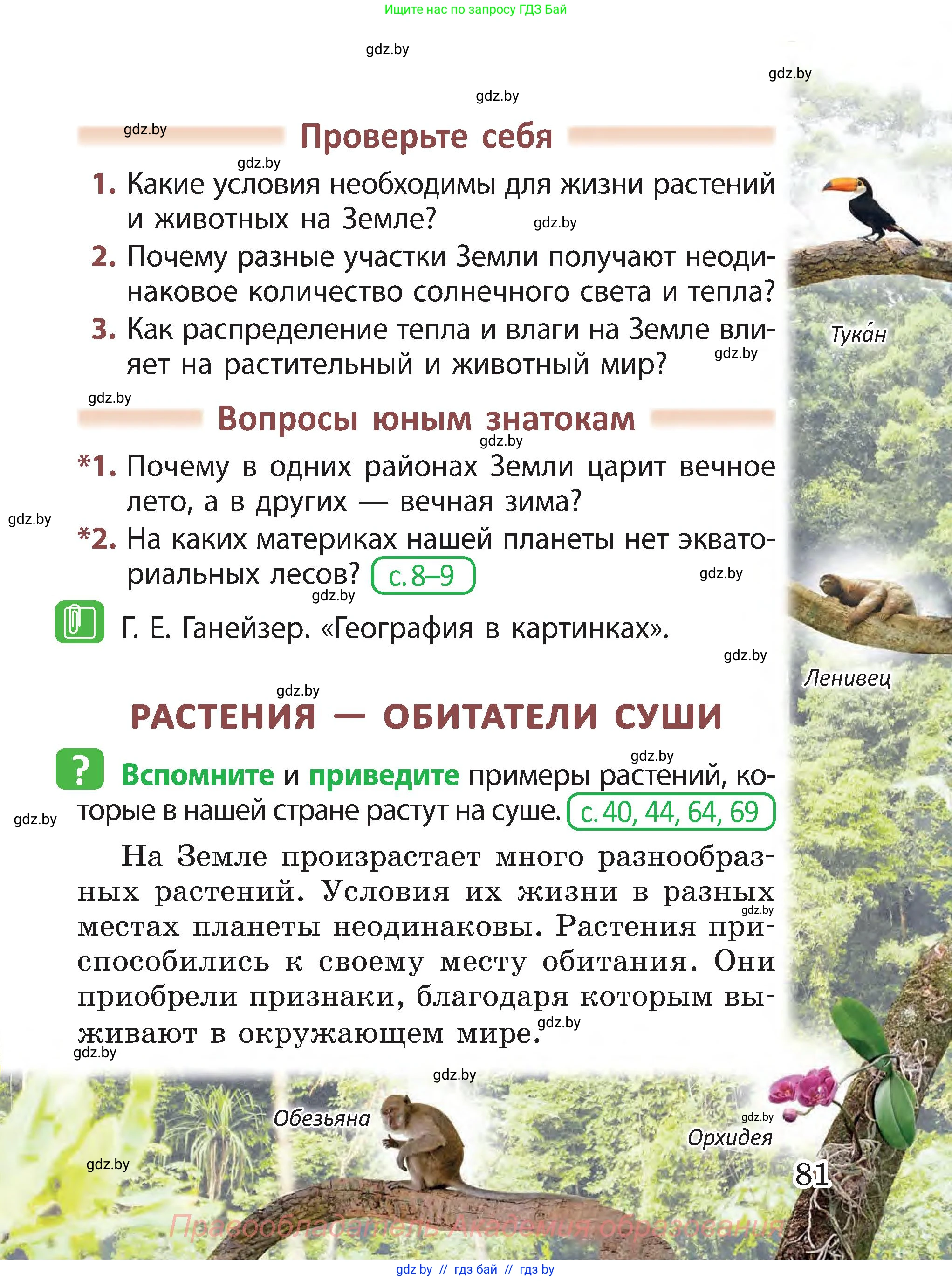 Человек и мир, 3 класс Учебник, авторы: Трафимова Галина Владимировна, Трафимов Сергей Анатольевич, издательство Академия образования, Минск, 2025, голубого цвета, страница 81