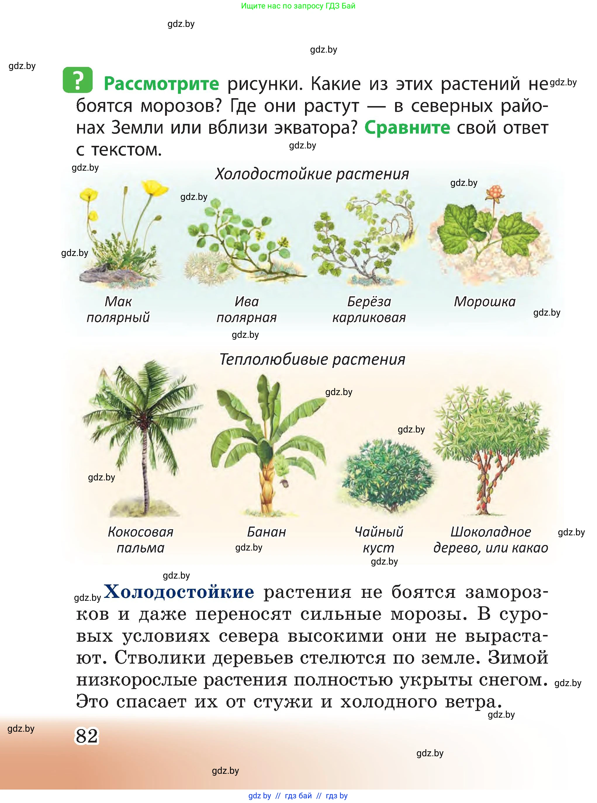 Человек и мир, 3 класс Учебник, авторы: Трафимова Галина Владимировна, Трафимов Сергей Анатольевич, издательство Академия образования, Минск, 2025, голубого цвета, страница 82