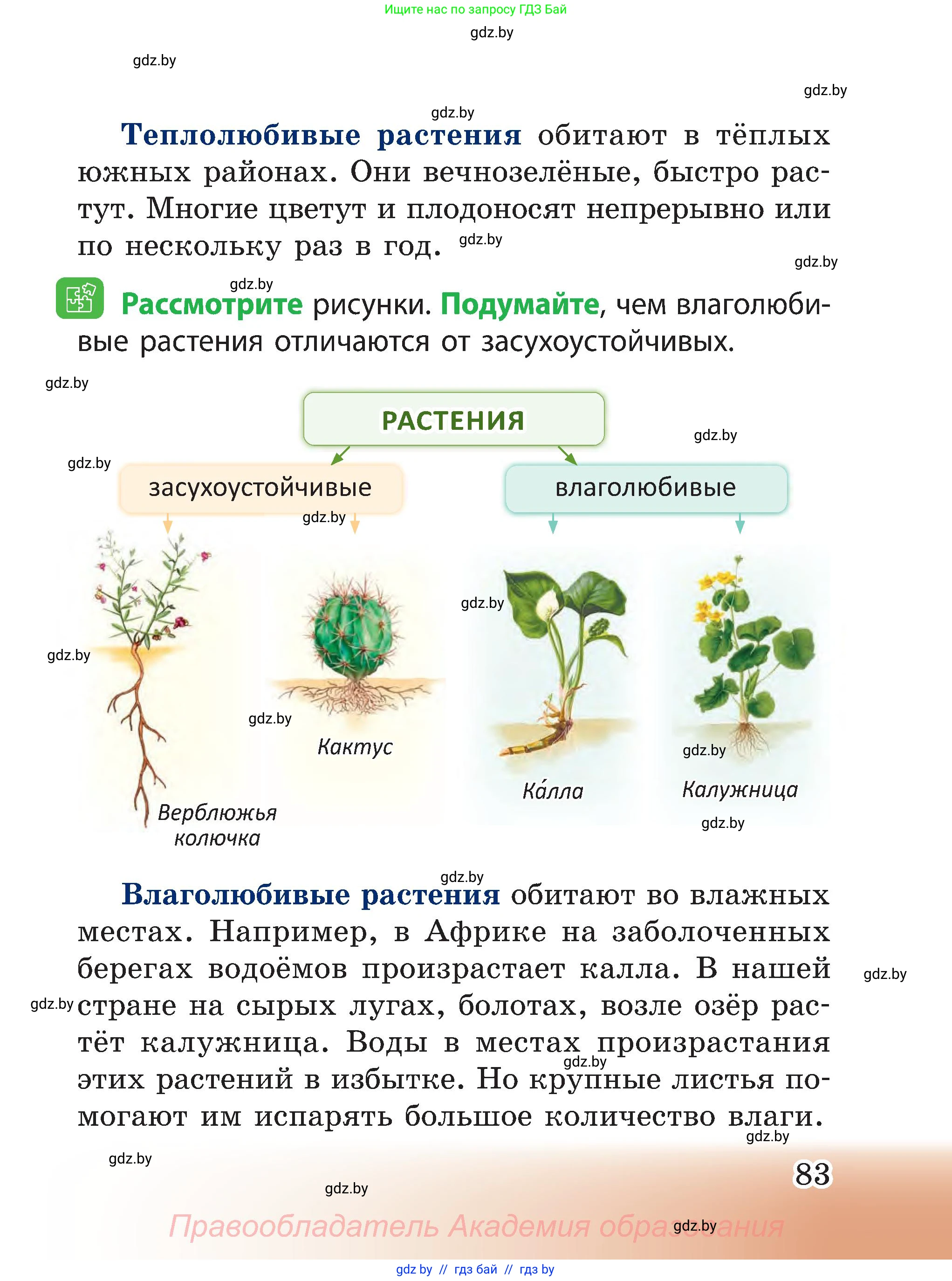 Человек и мир, 3 класс Учебник, авторы: Трафимова Галина Владимировна, Трафимов Сергей Анатольевич, издательство Академия образования, Минск, 2025, голубого цвета, страница 83